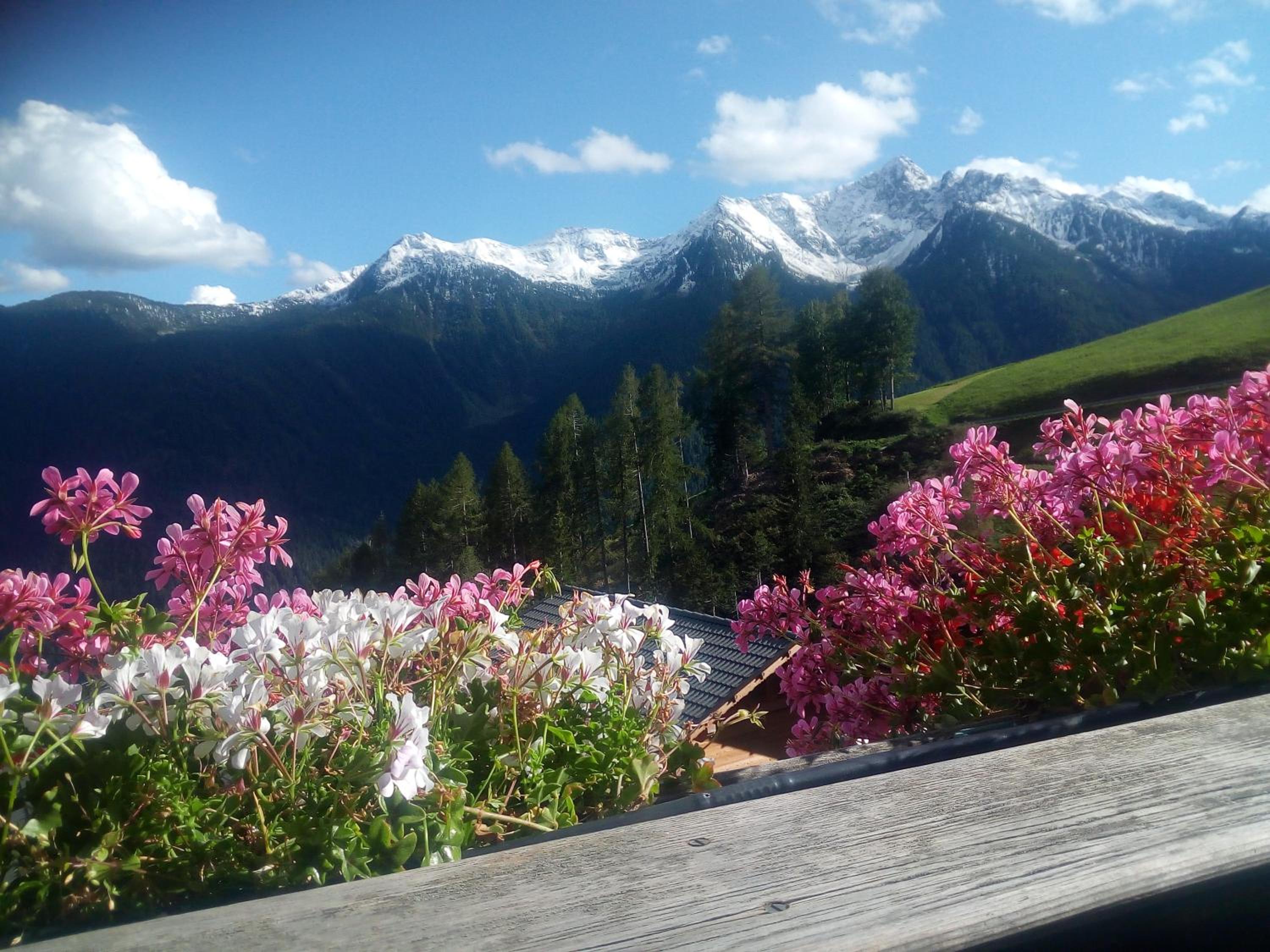 Niederhaushof view 4