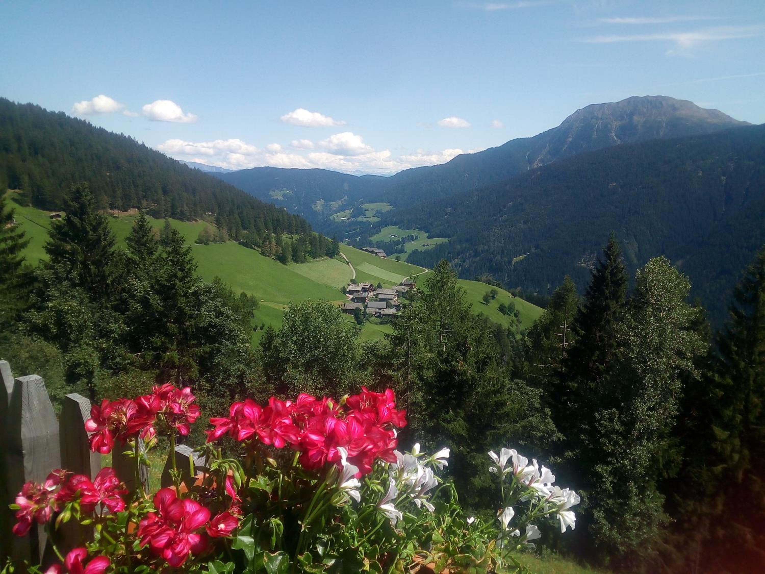 Niederhaushof view 3