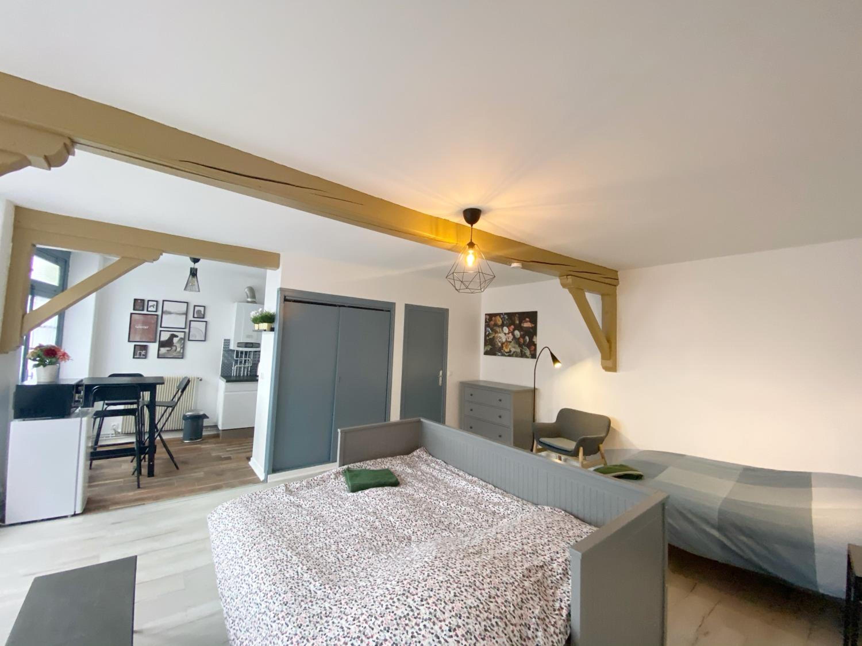 015 CHIC & COSY STUDIO 41m2 HYPERCENTRE WIFI SMART TV NETFLIX