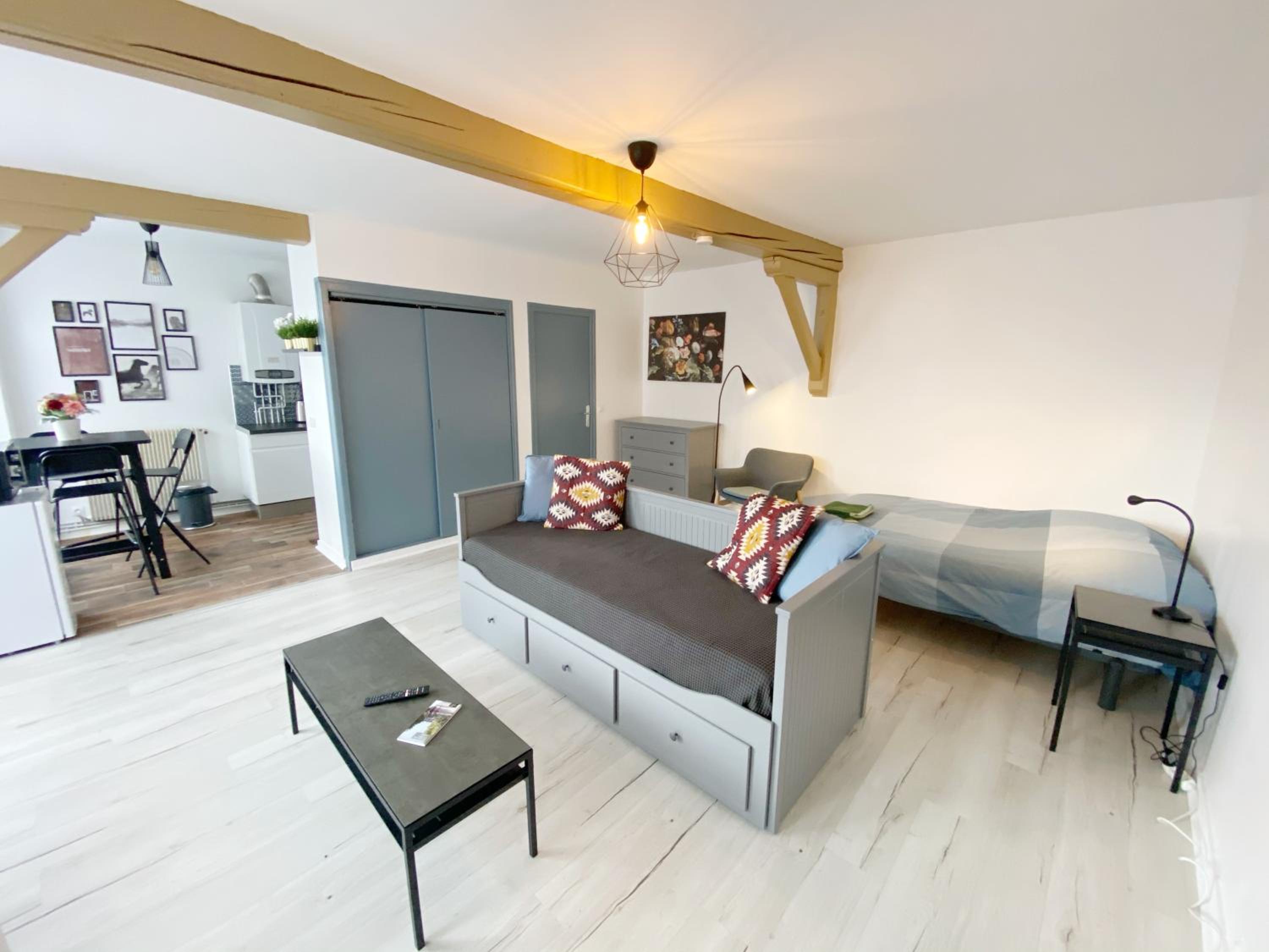 015 CHIC & COSY STUDIO 41m2 HYPERCENTRE WIFI SMART TV NETFLIX