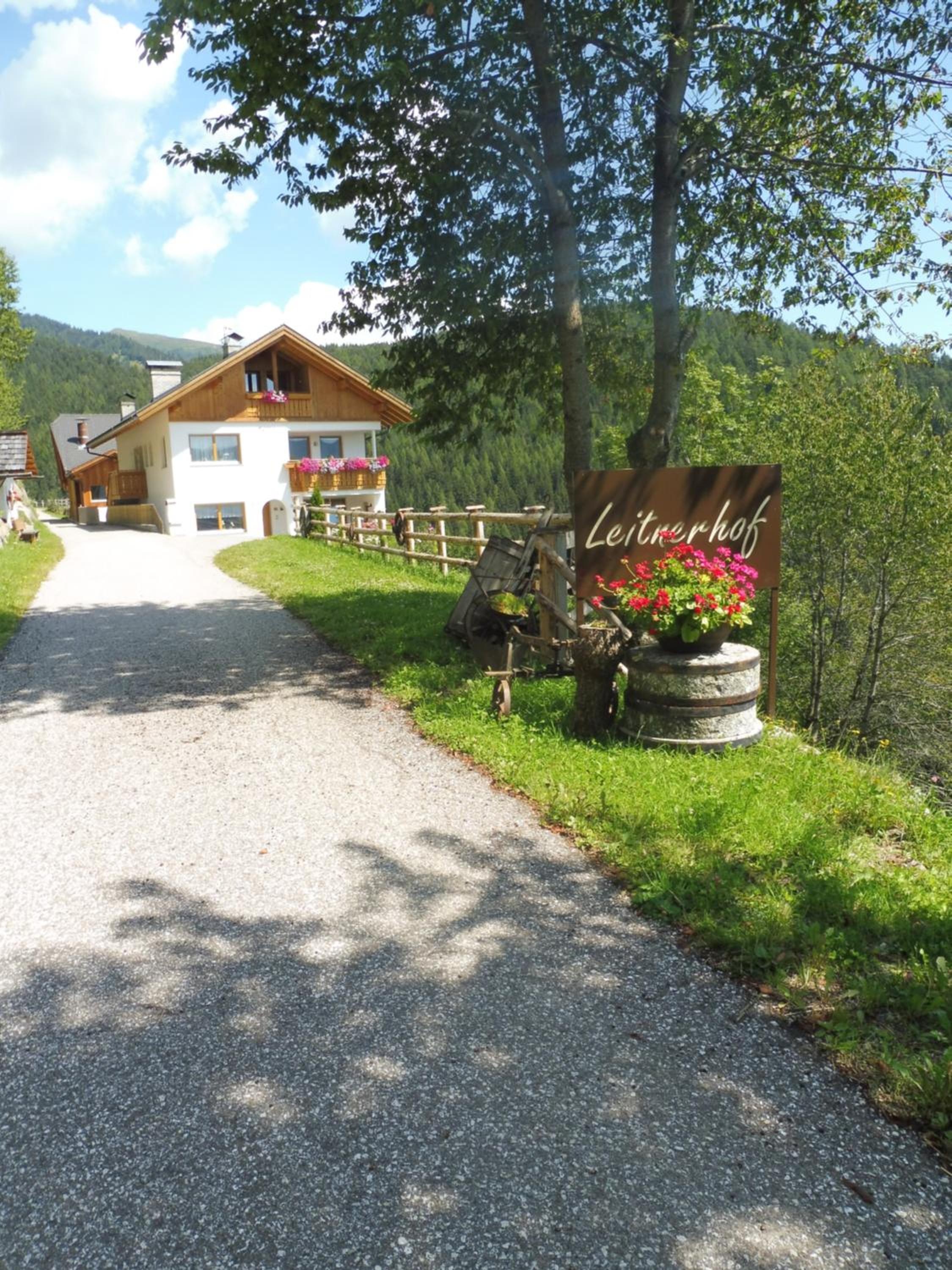 Leitnerhof view 5