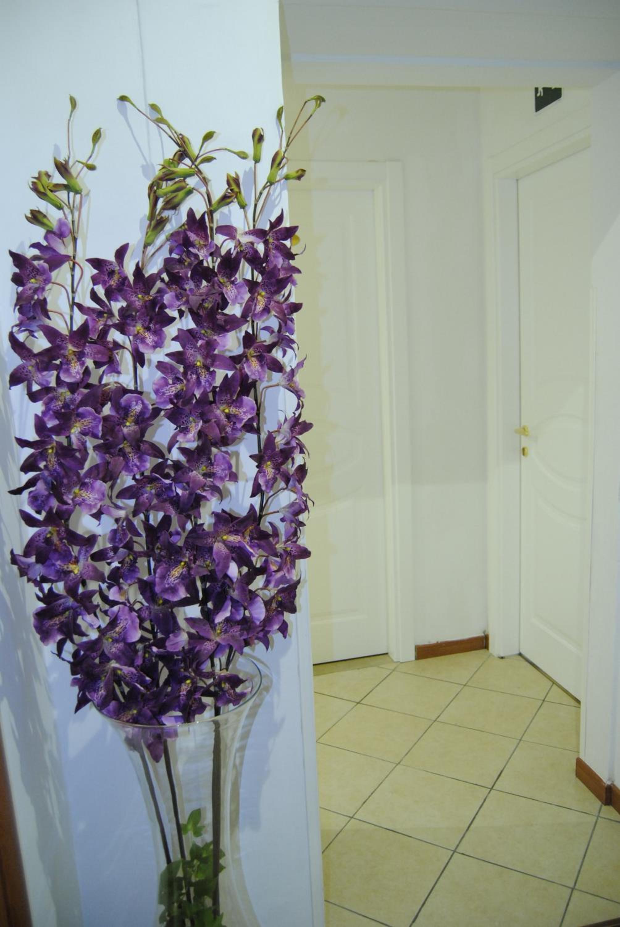 Adelaide House