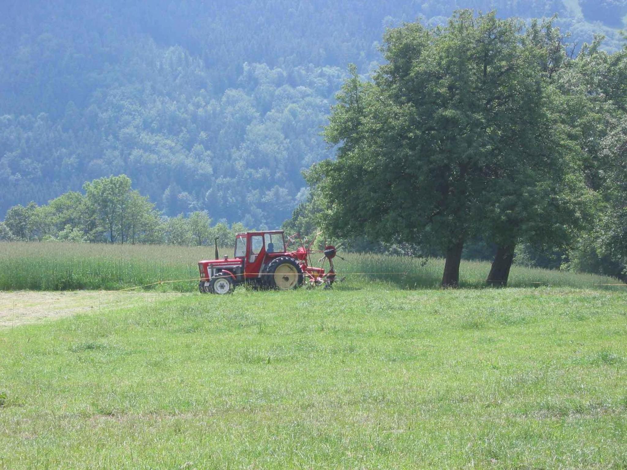 Wachahof