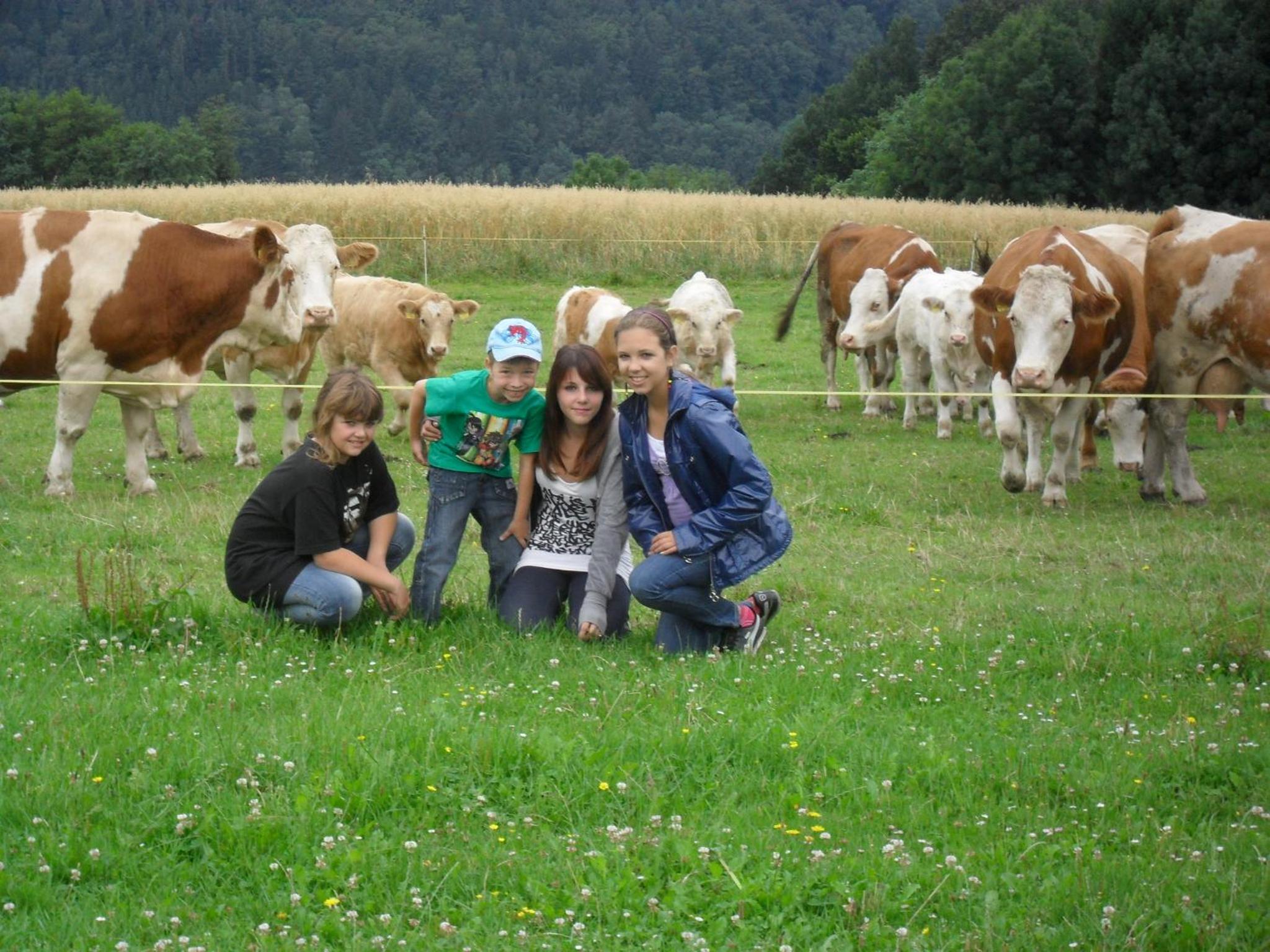 Wachahof