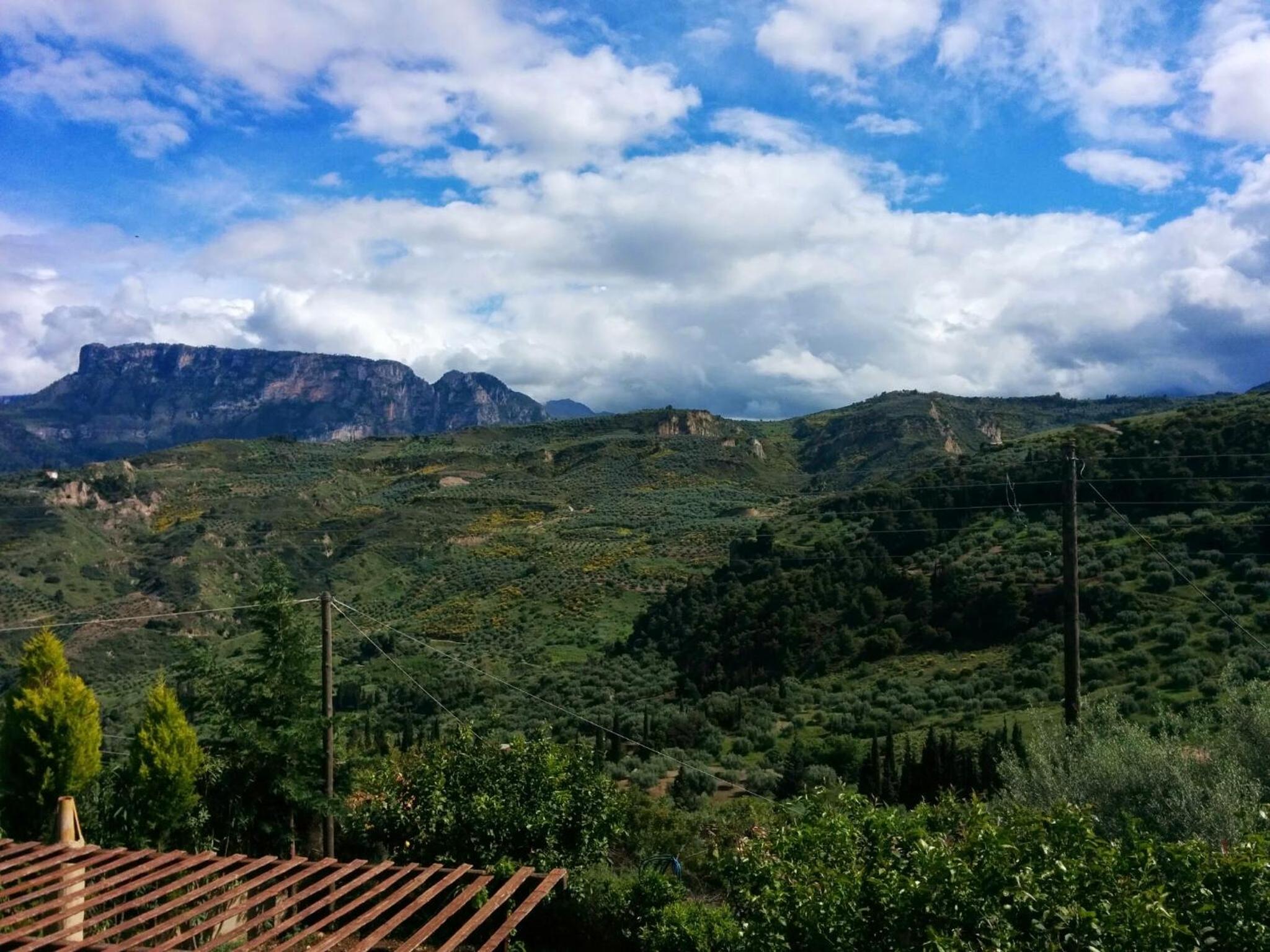 Ampelos Estate