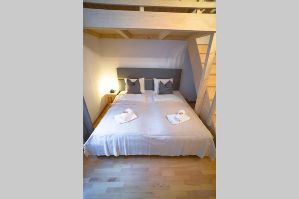 Cosy and Spacious Apartment in the heart of Innsbruck