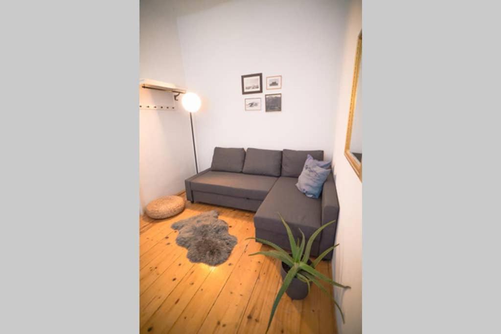 Cosy and Spacious Apartment in the heart of Innsbruck