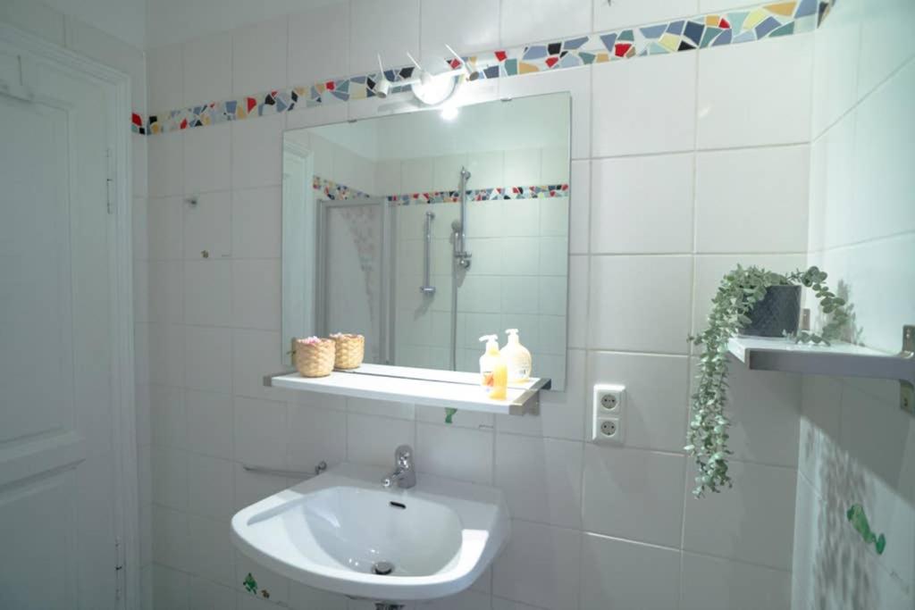 Cosy and Spacious Apartment in the heart of Innsbruck