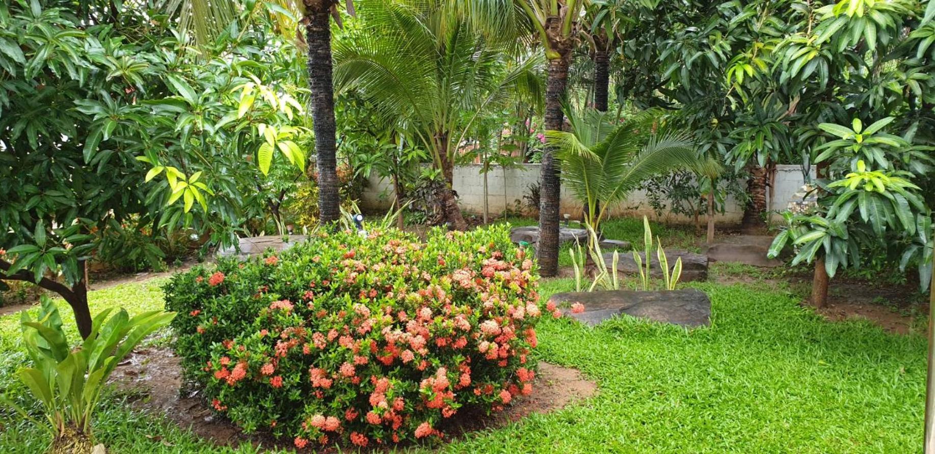 Nuch's Apple Guest House