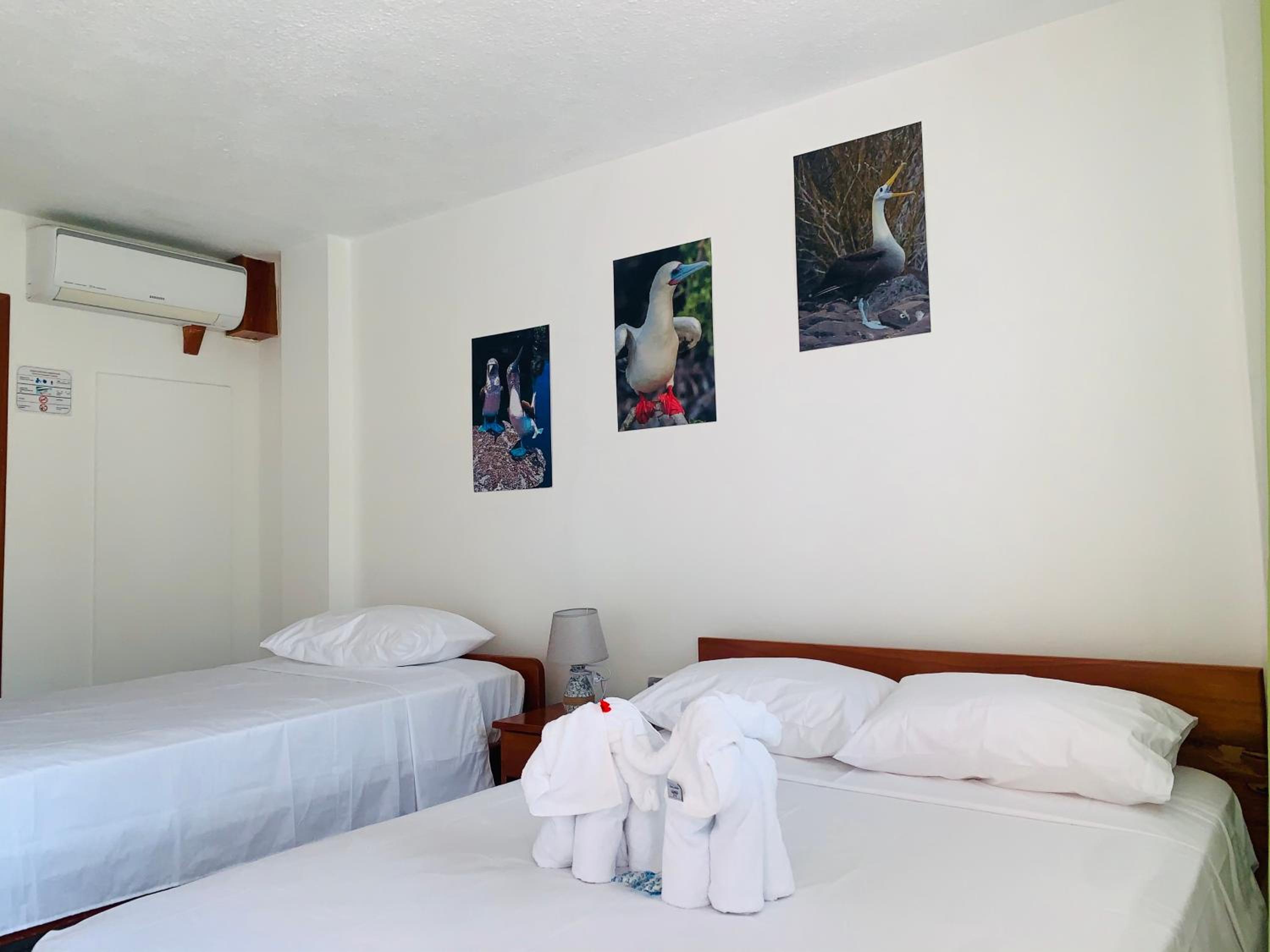 Hostal White House Galapagos
