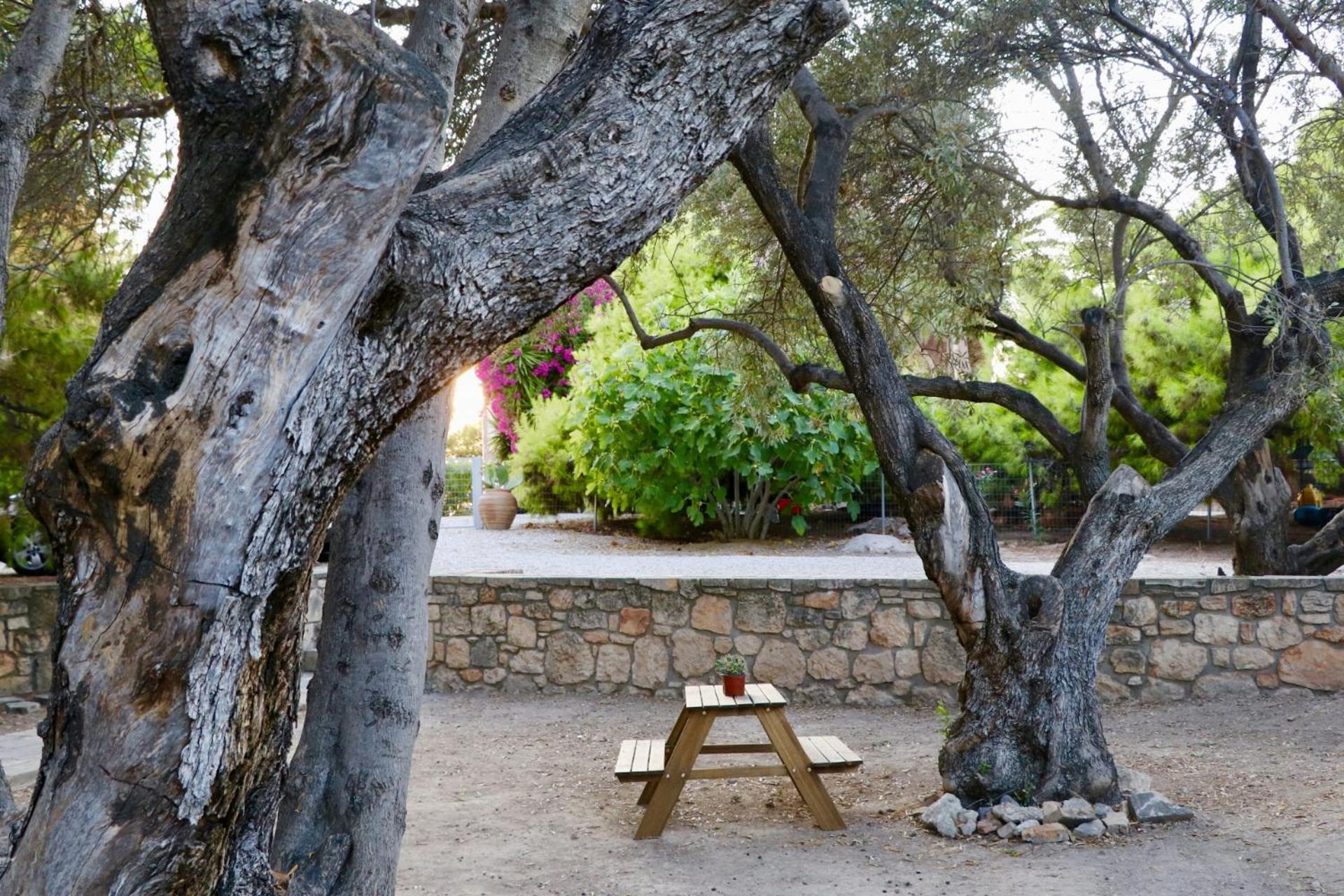 PYRGOS RALLI ESTATE Guesthouse view 3