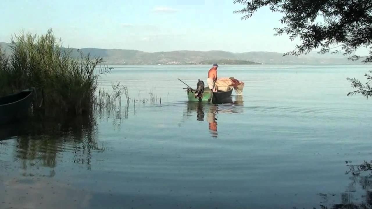 Photo 41