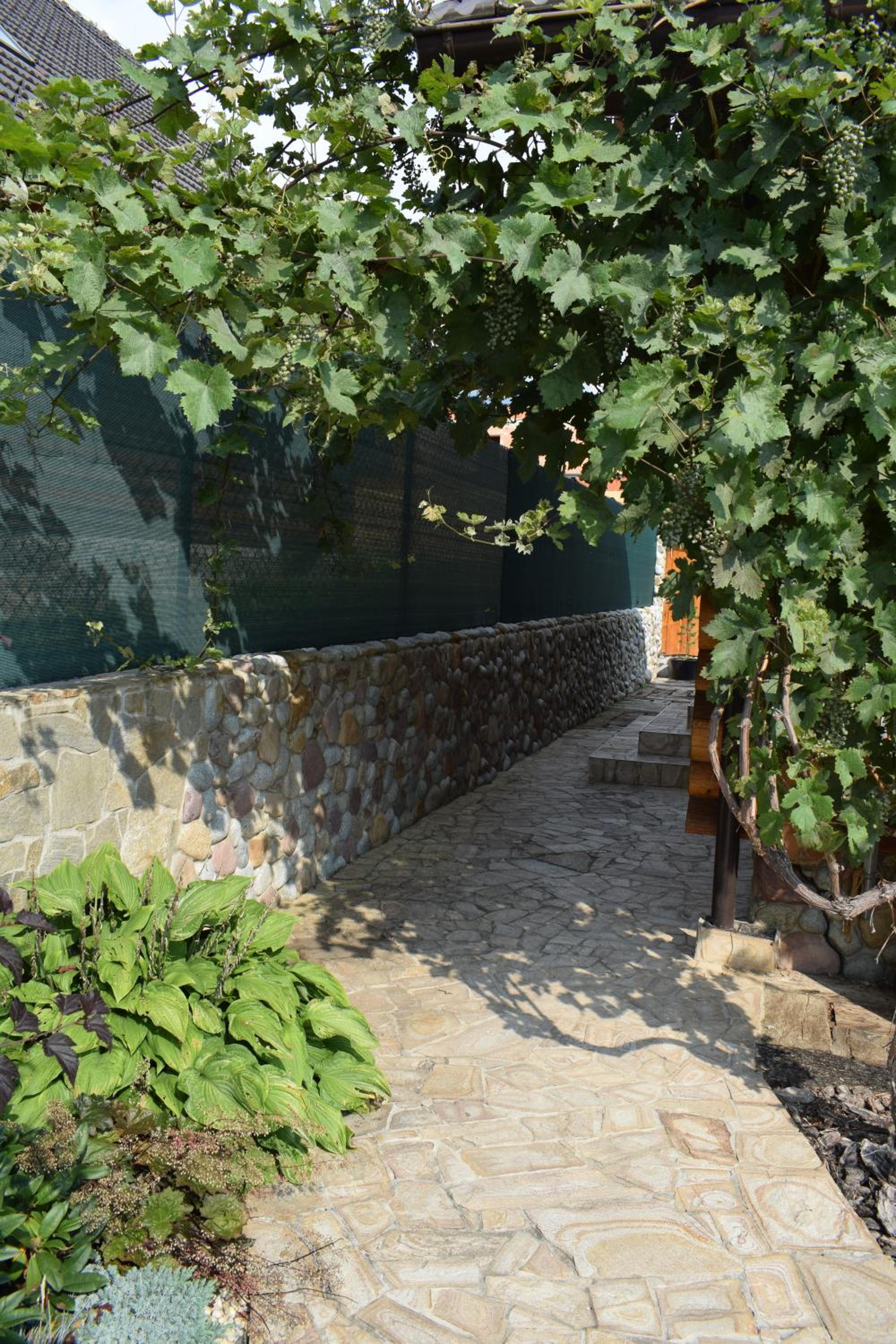 Photo 8
