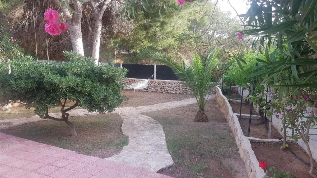 graziosa viletta photo 5