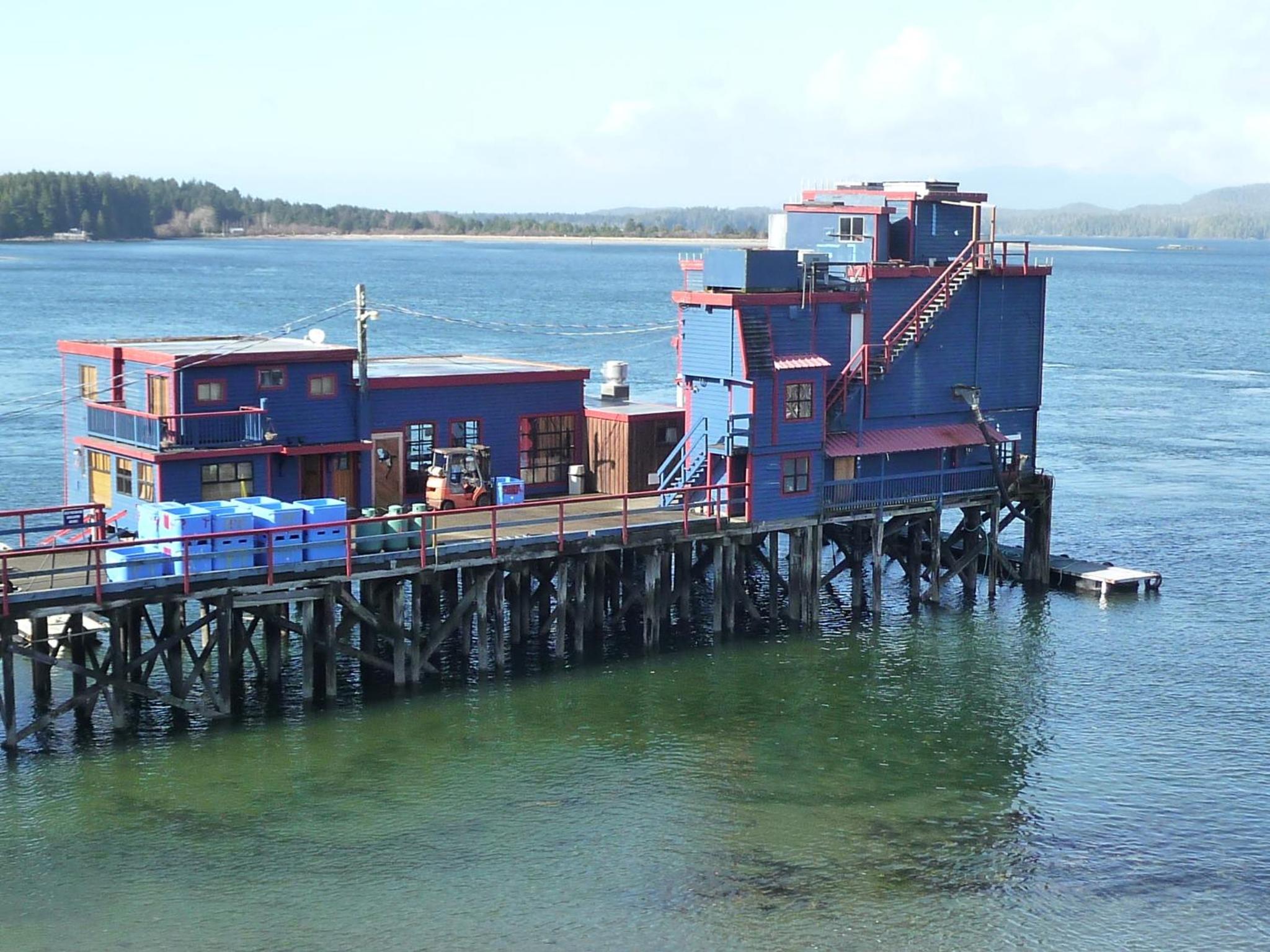 Tofino Vacations - Island Village Properties at Fred Tibbs - Property Image 1