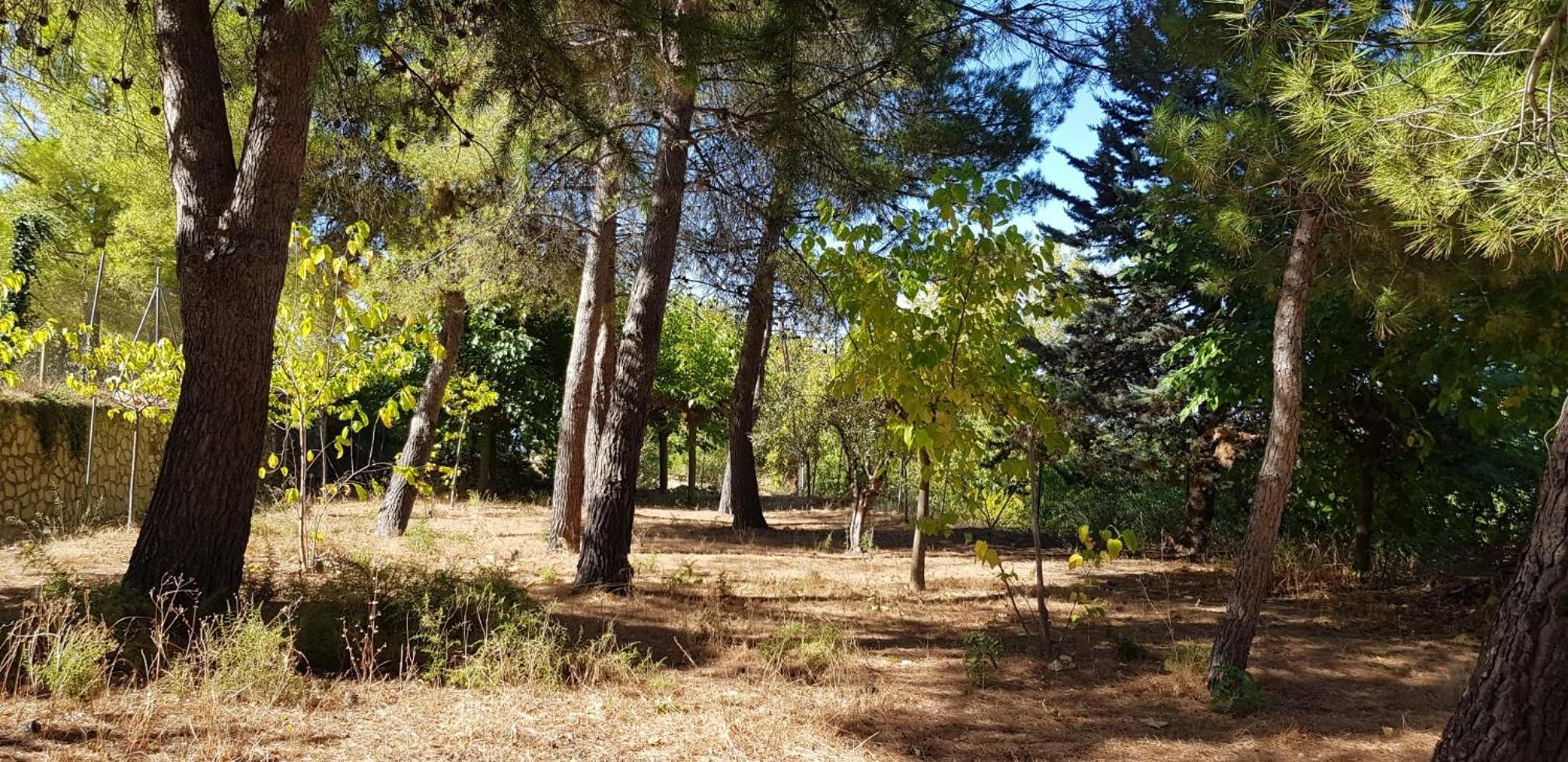 Photo 21
