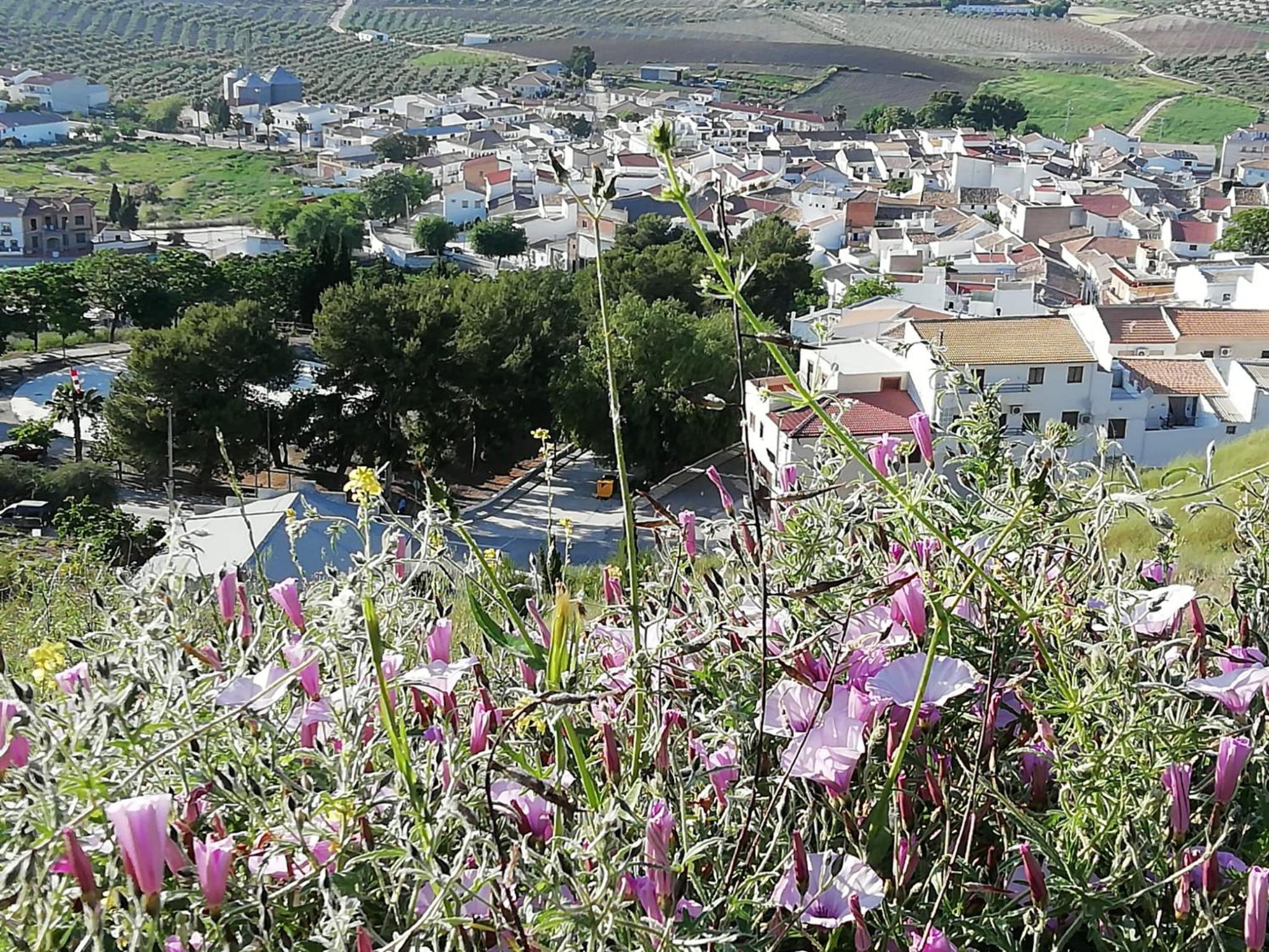 Photo 42