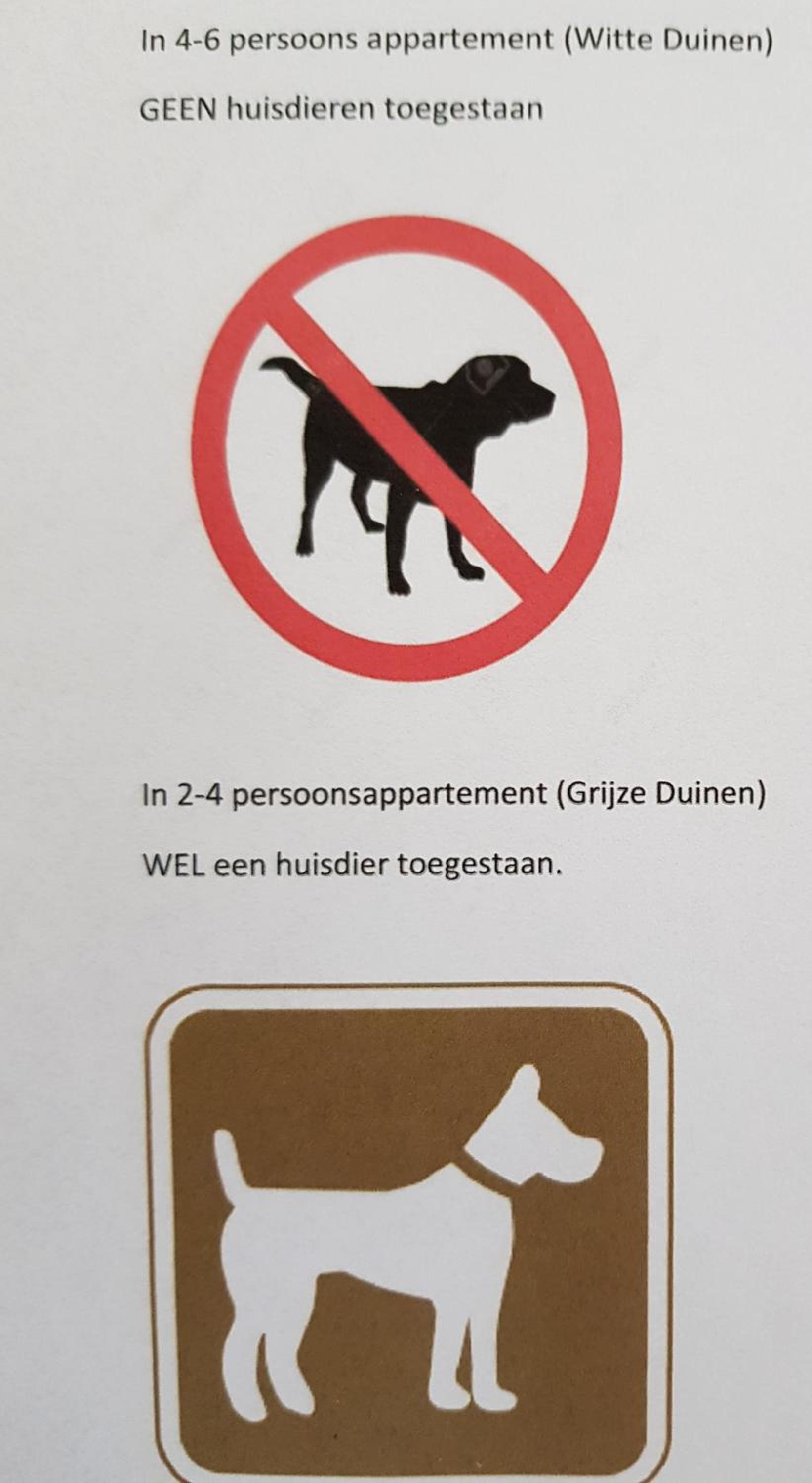 Wittegrijzeduinen view 4