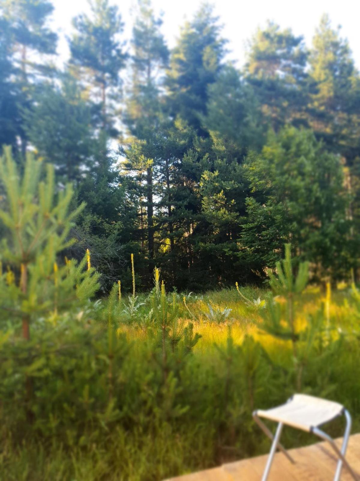 Zarevo Glamping