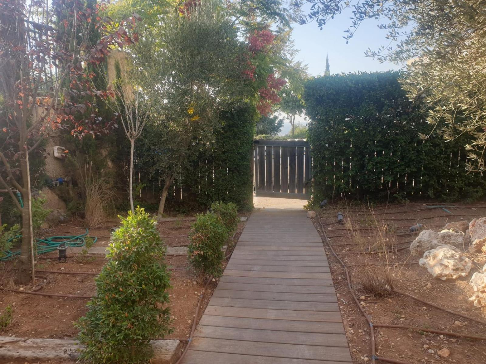 נוף הרים Mountain View view 2