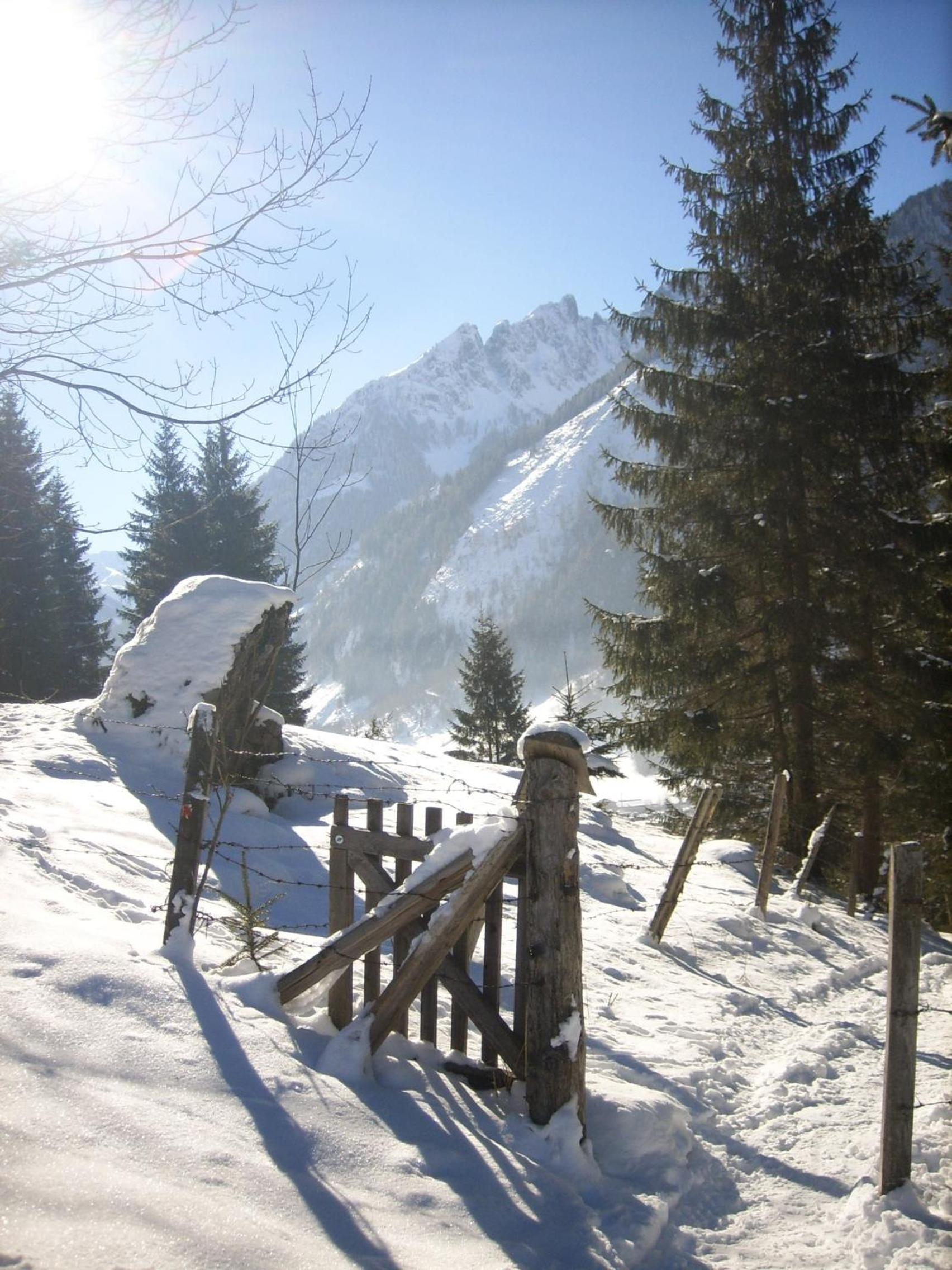 Oberreiter's Alpennest