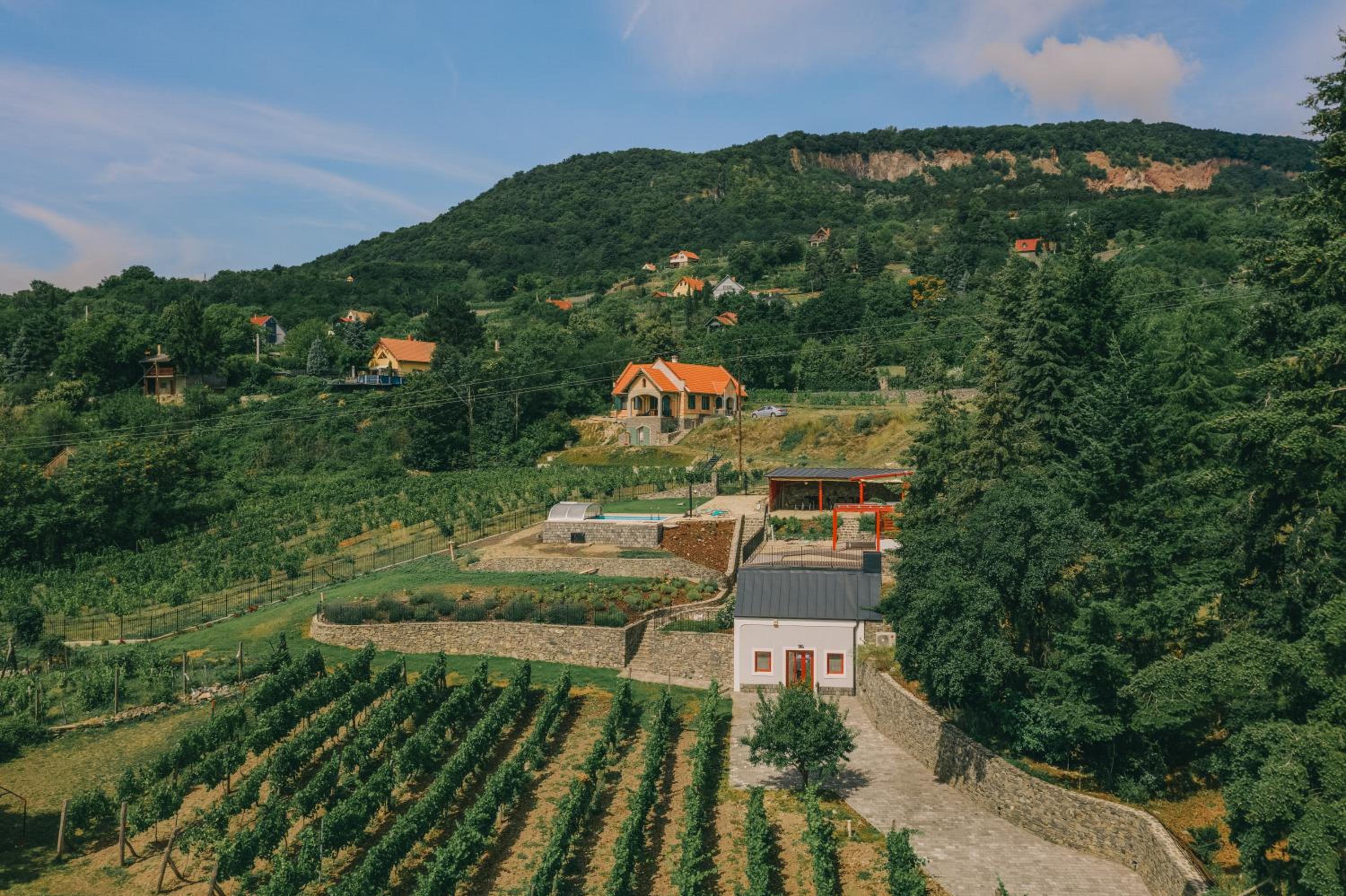 Villő Villa view 3