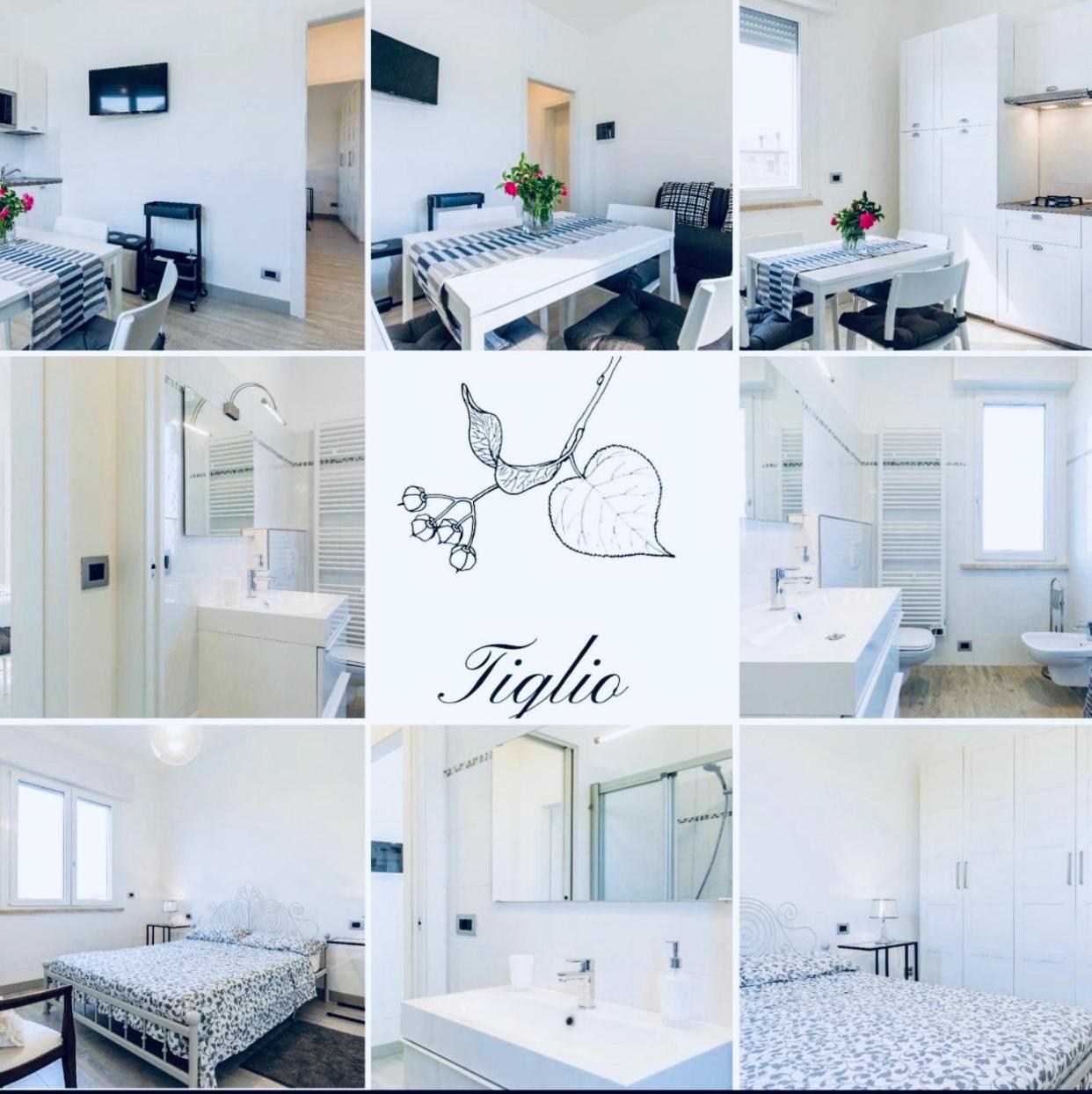 Green House in campagna - Property Image 82