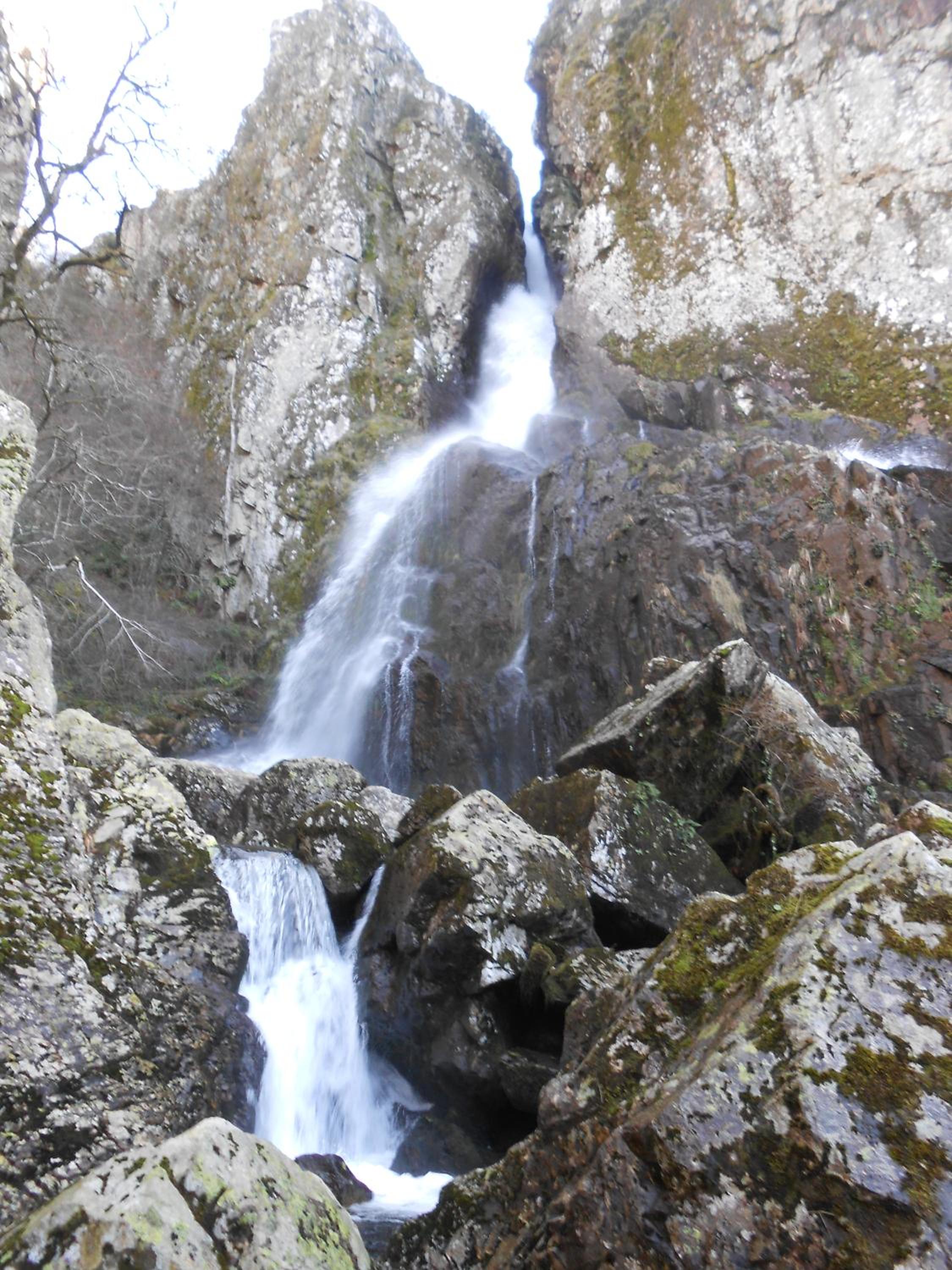 Photo 33