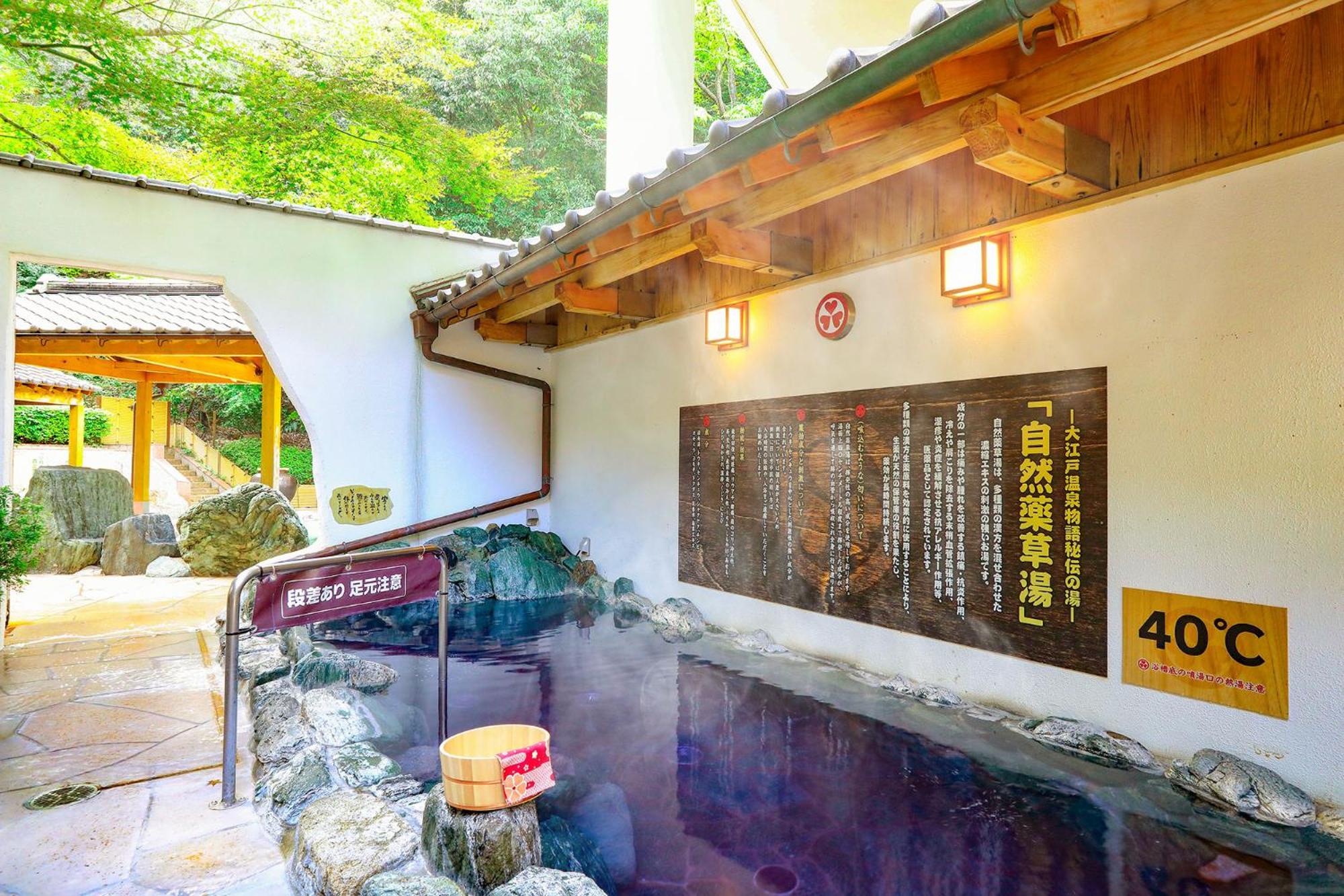 Ooedo Onsen Monogatari Hotel Reoma no Mori
