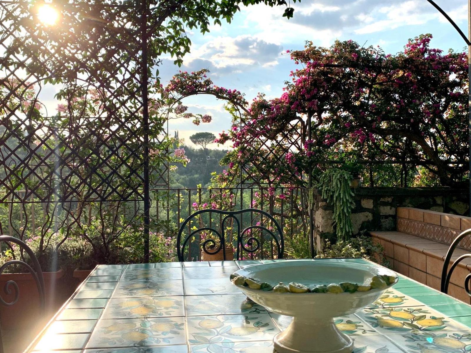 balance & terrace