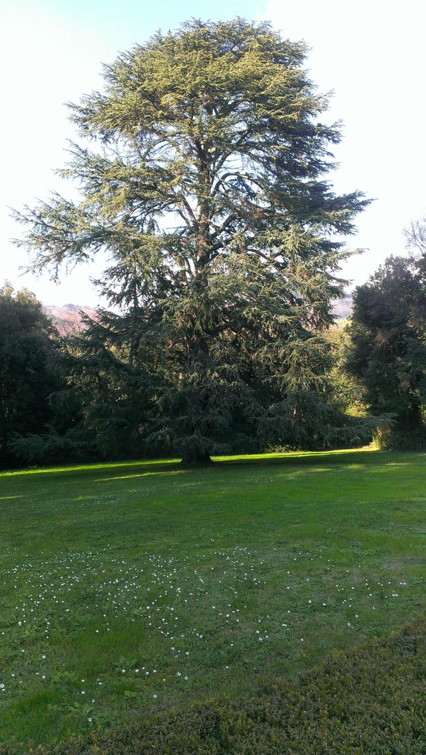 Photo 24