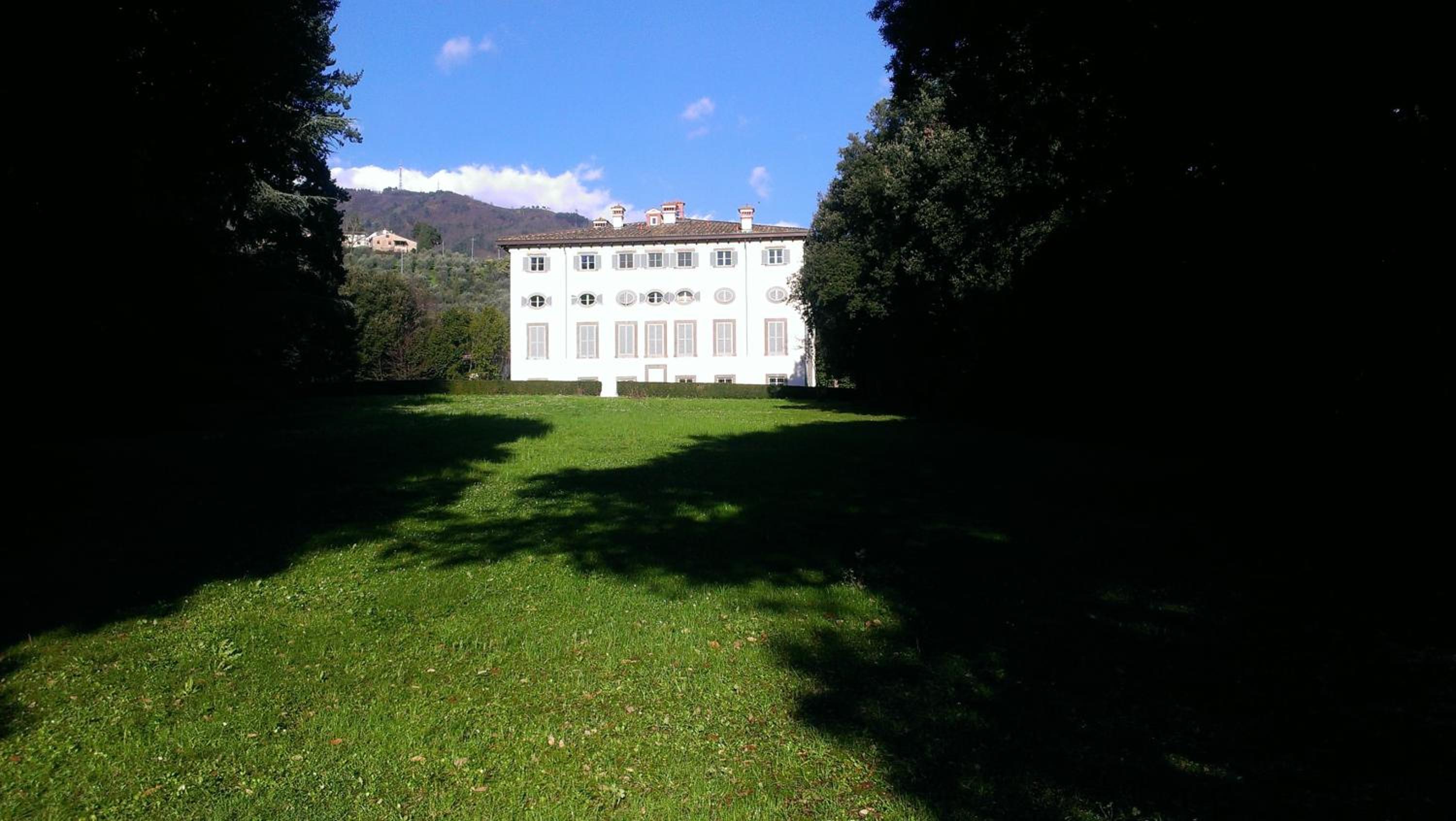 Photo 25