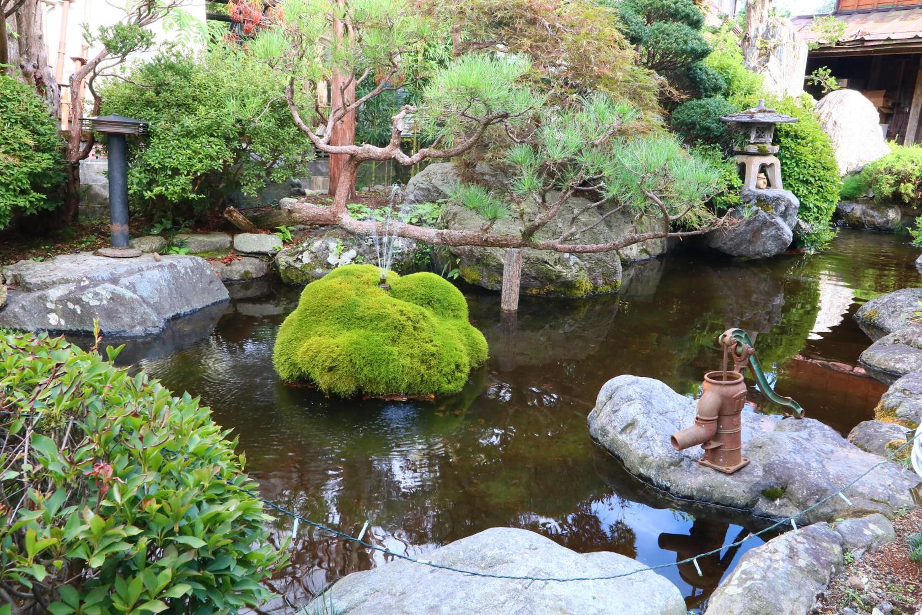 Lake Oshino