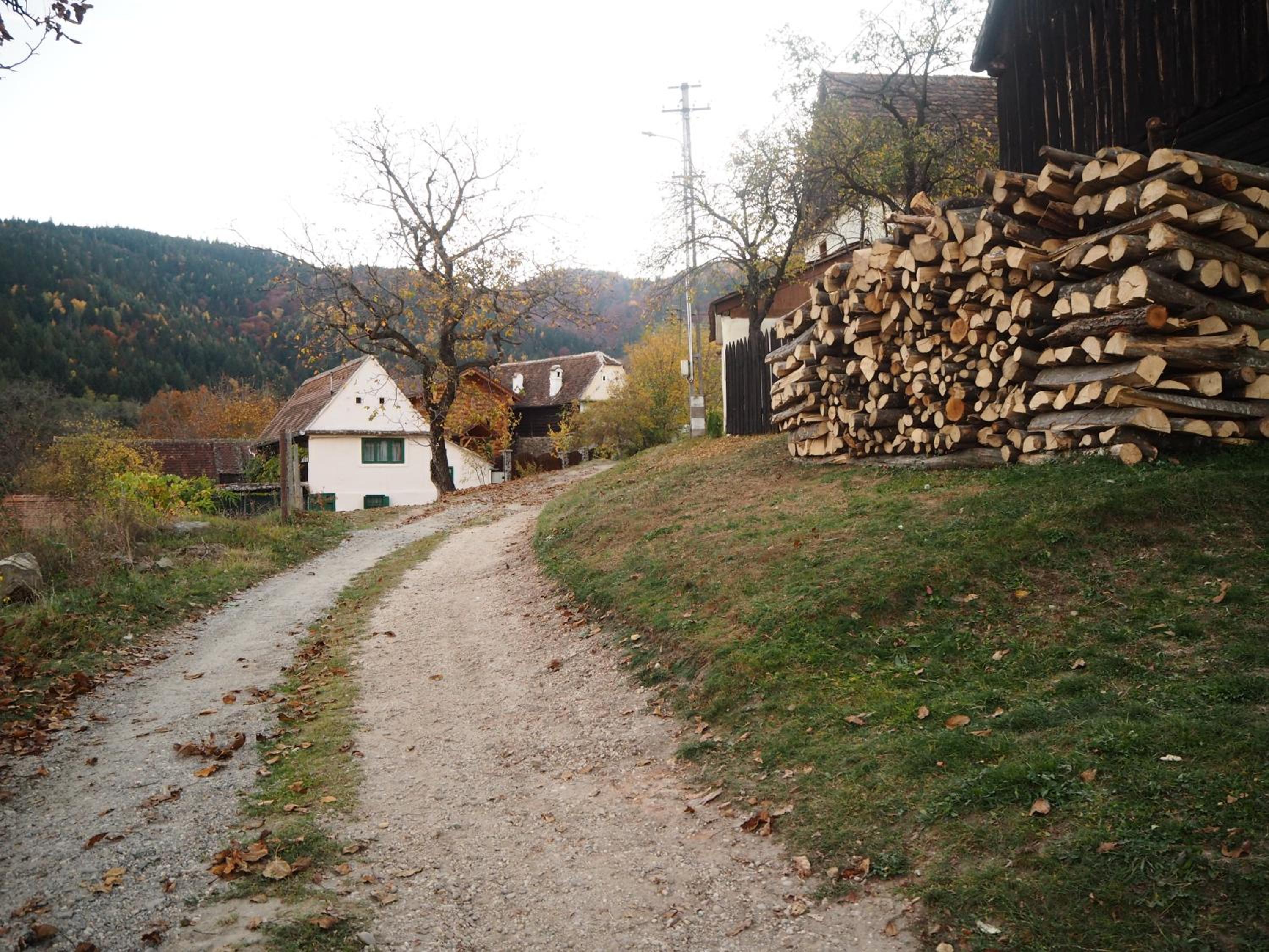 Photo 26