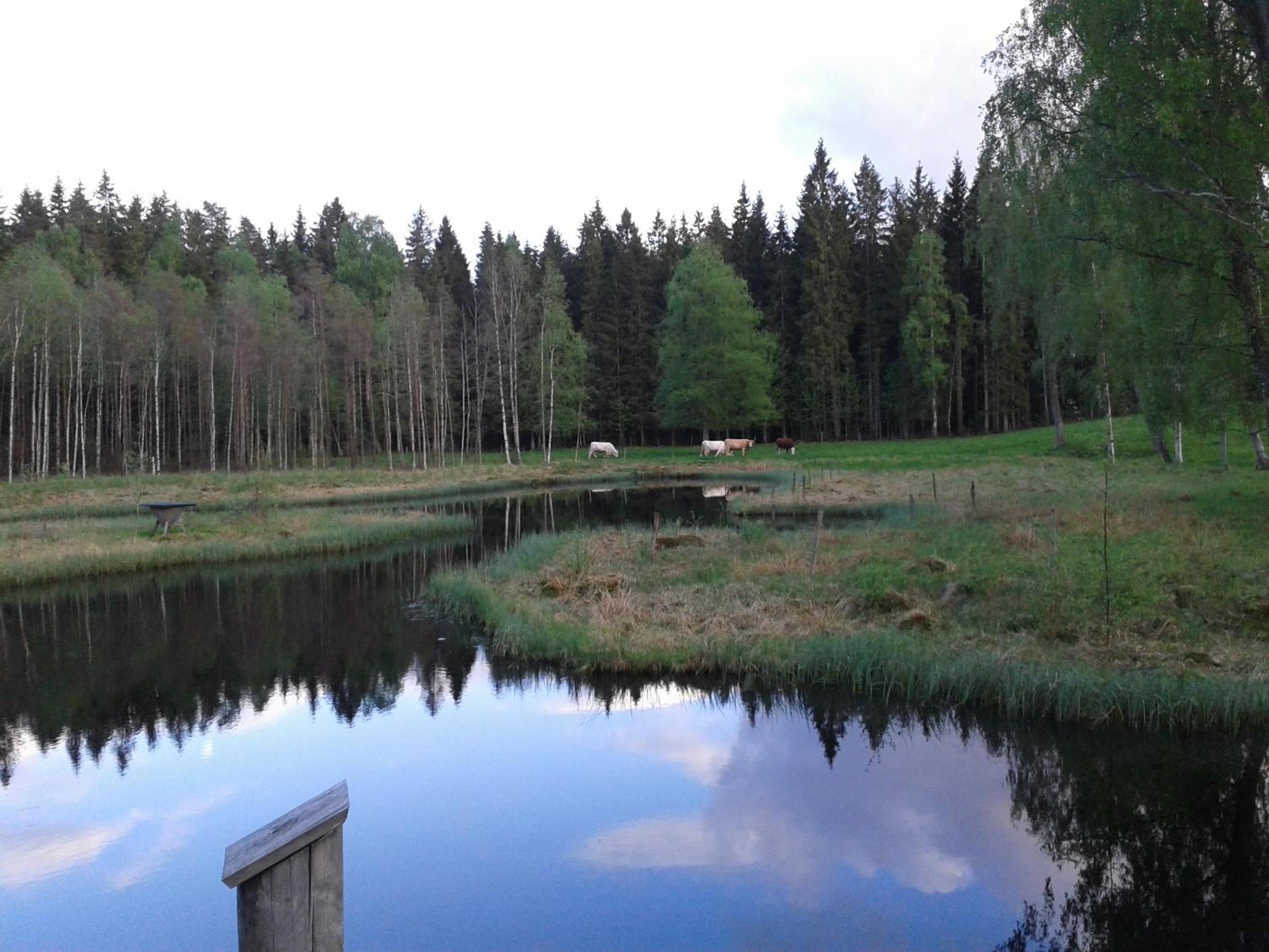 Photo 32