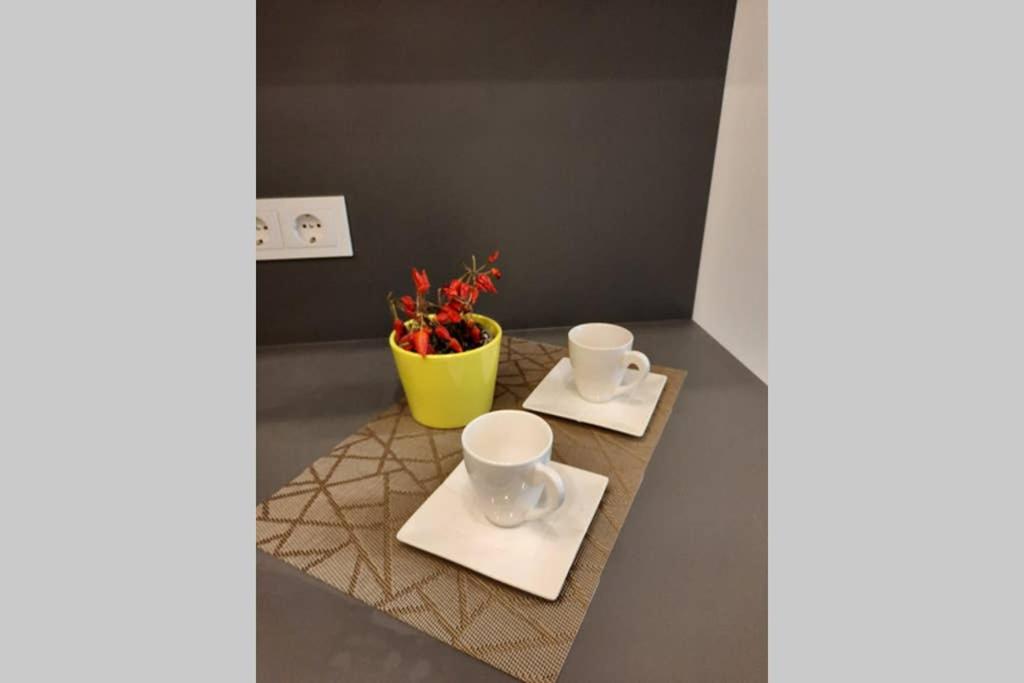 Apartamentai Giluzes Rivjera view 5