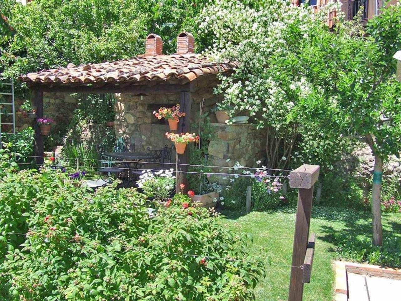 Photo 25
