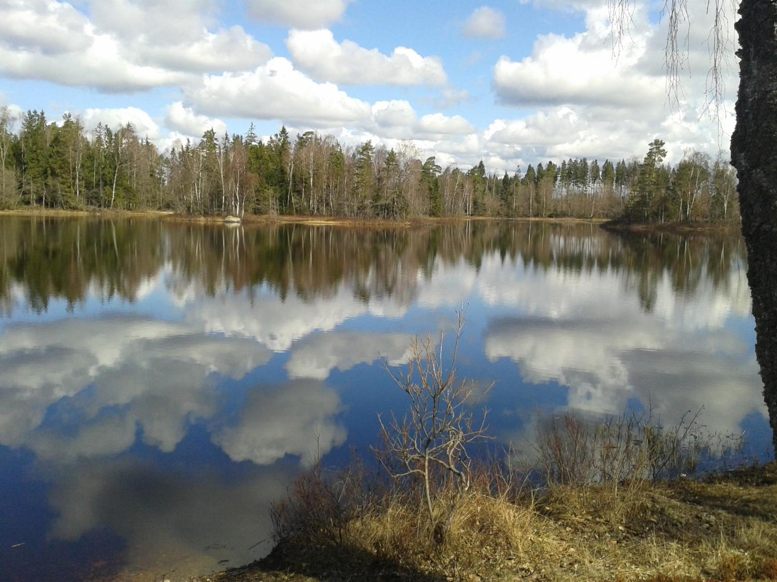 Photo 34