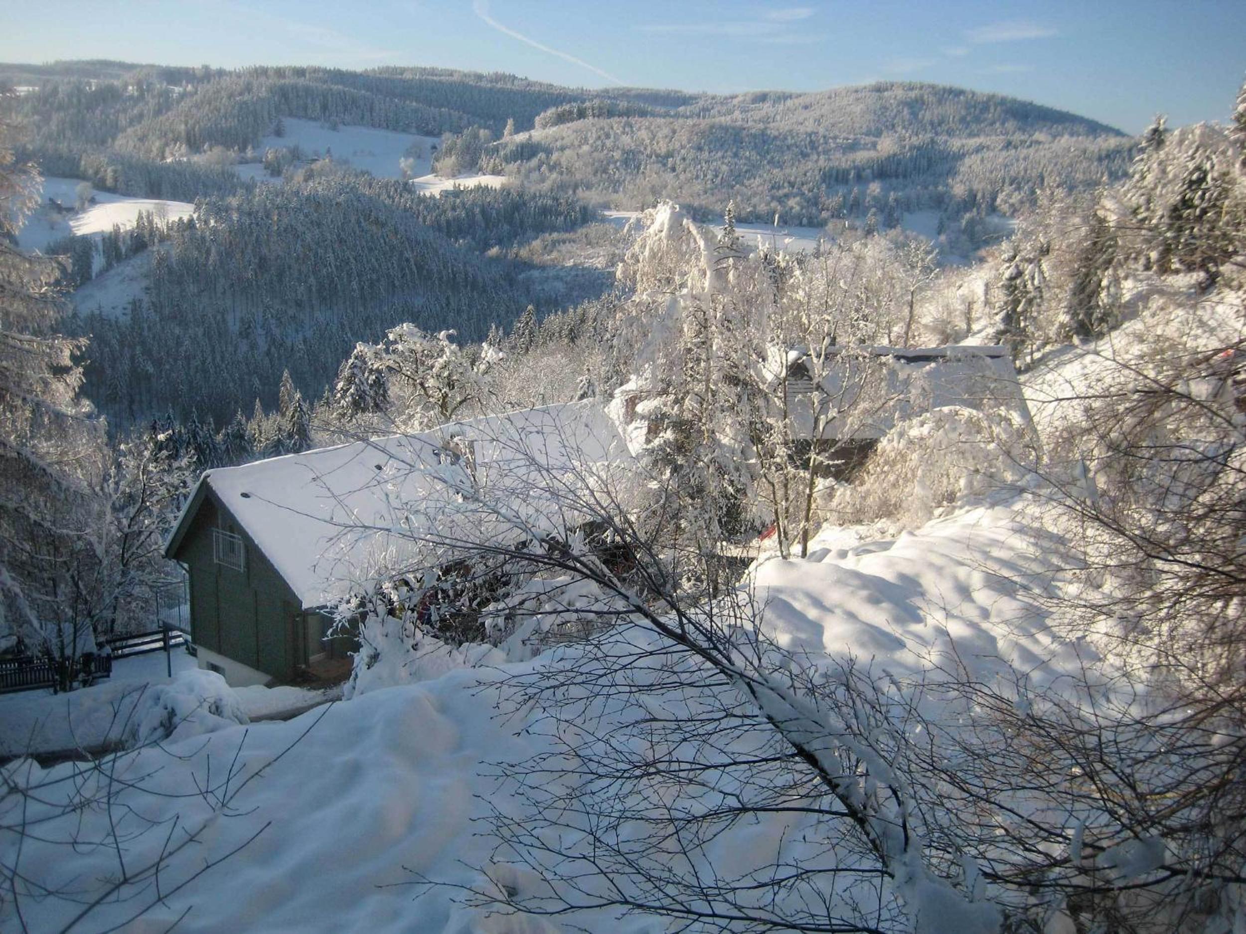 Gibbesbachhof Black Forest Apartments