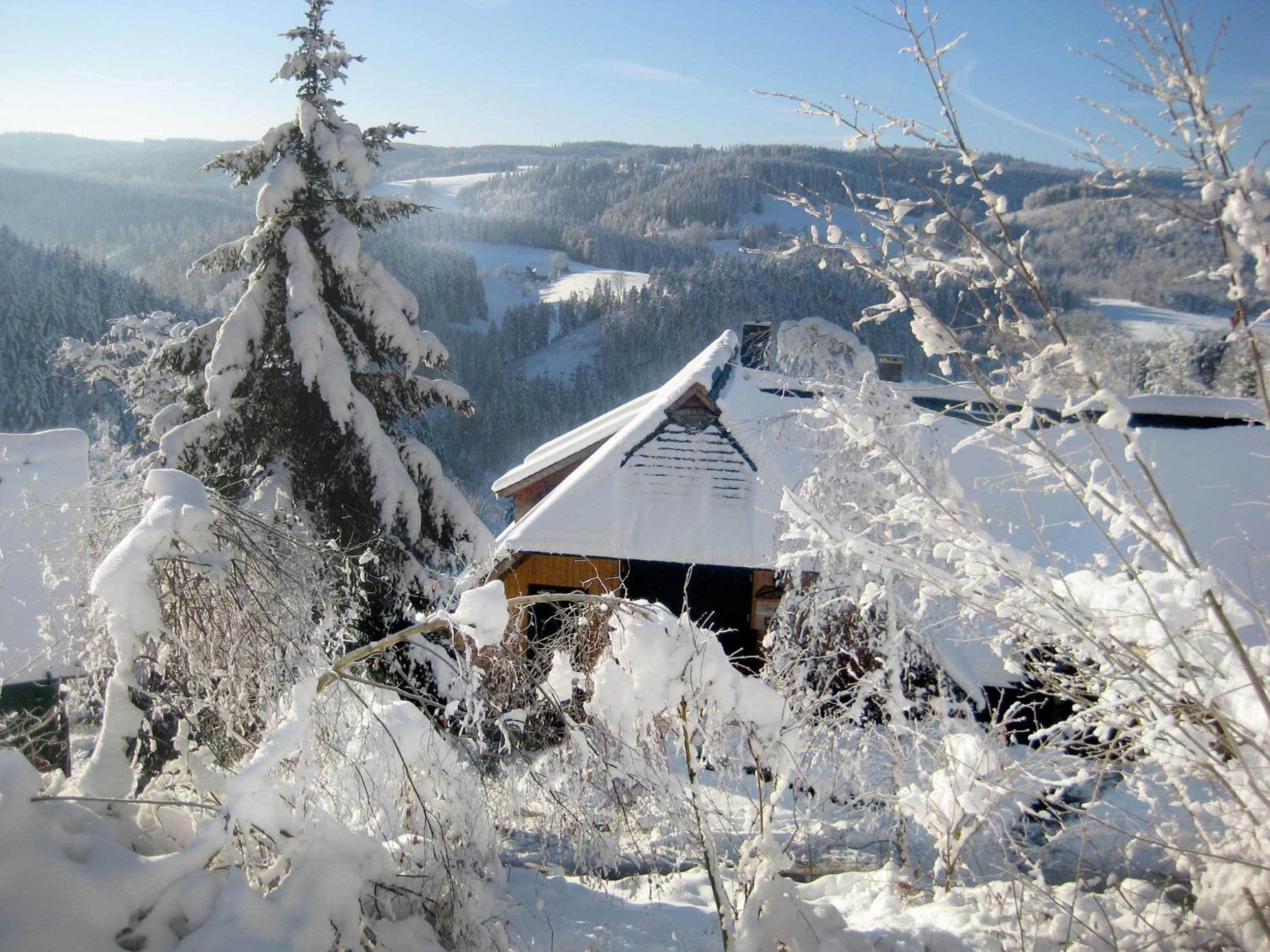 Gibbesbachhof Black Forest Apartments