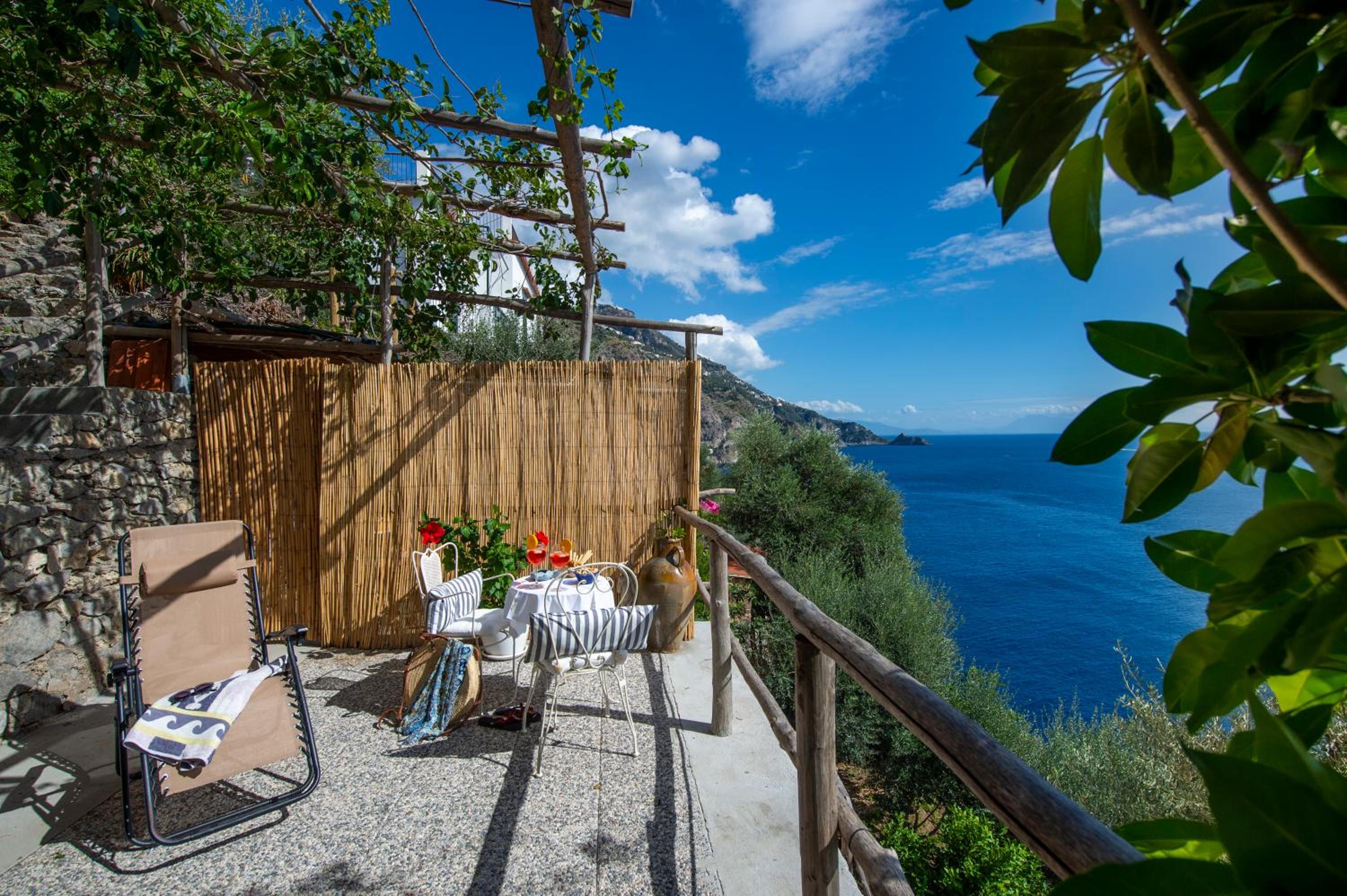 Sea Side Solandra photo 4