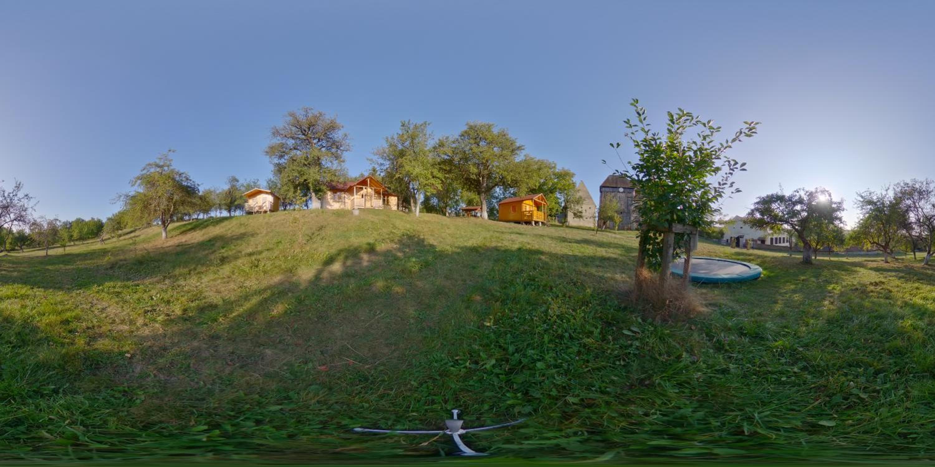Photo 11