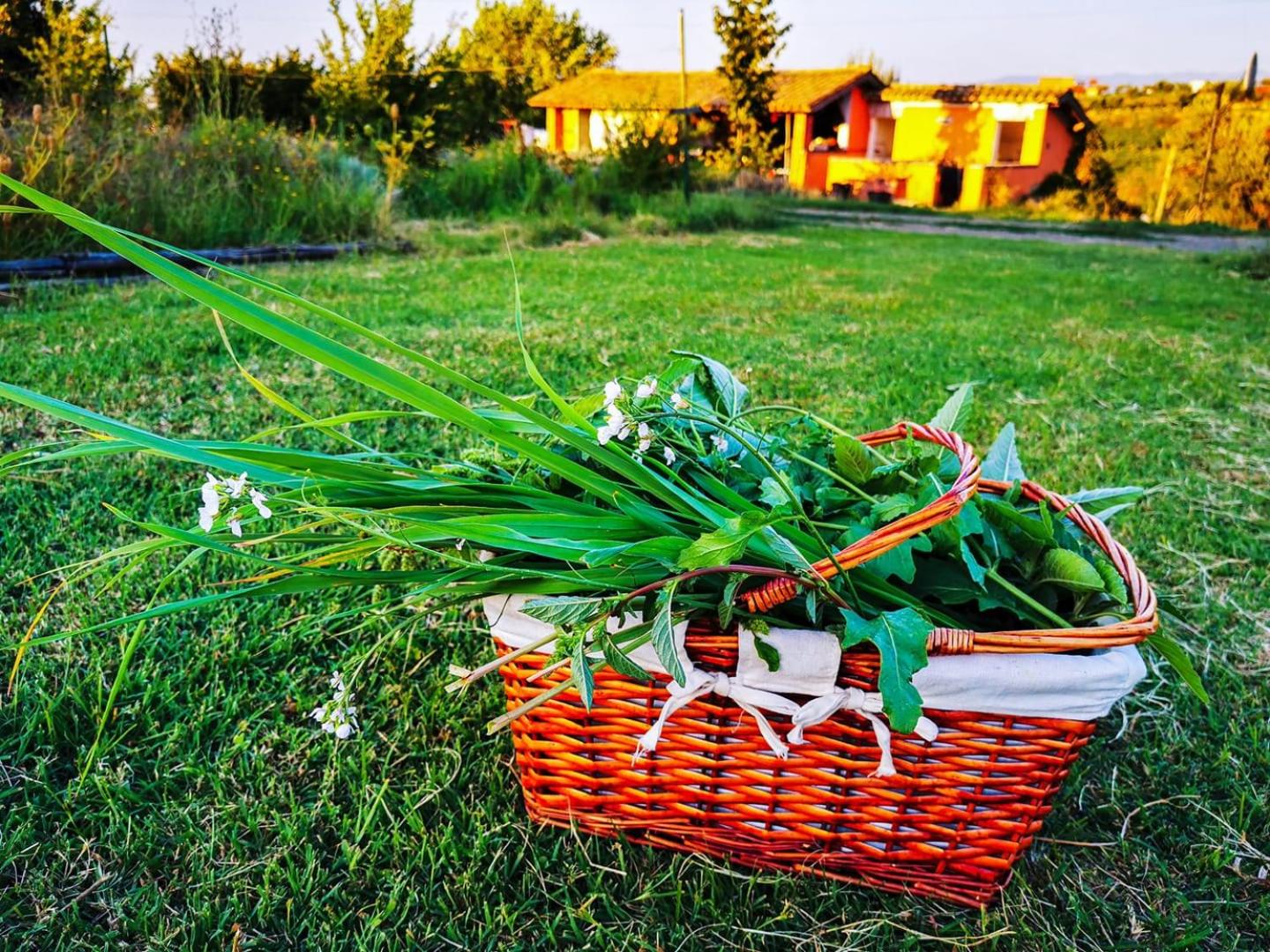 Country House Erba Regina