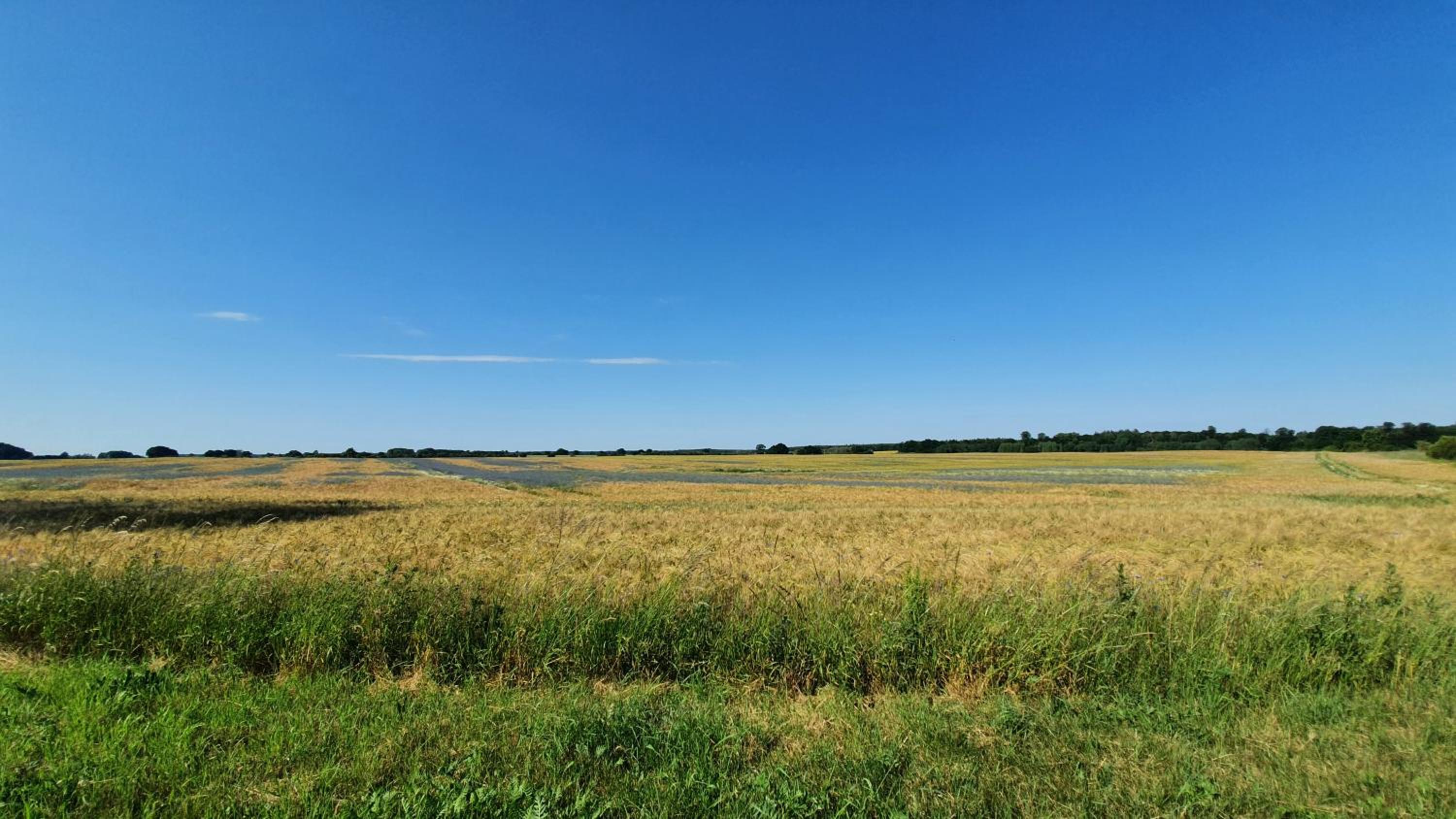 Gutshof Kämmerich - Fewo 