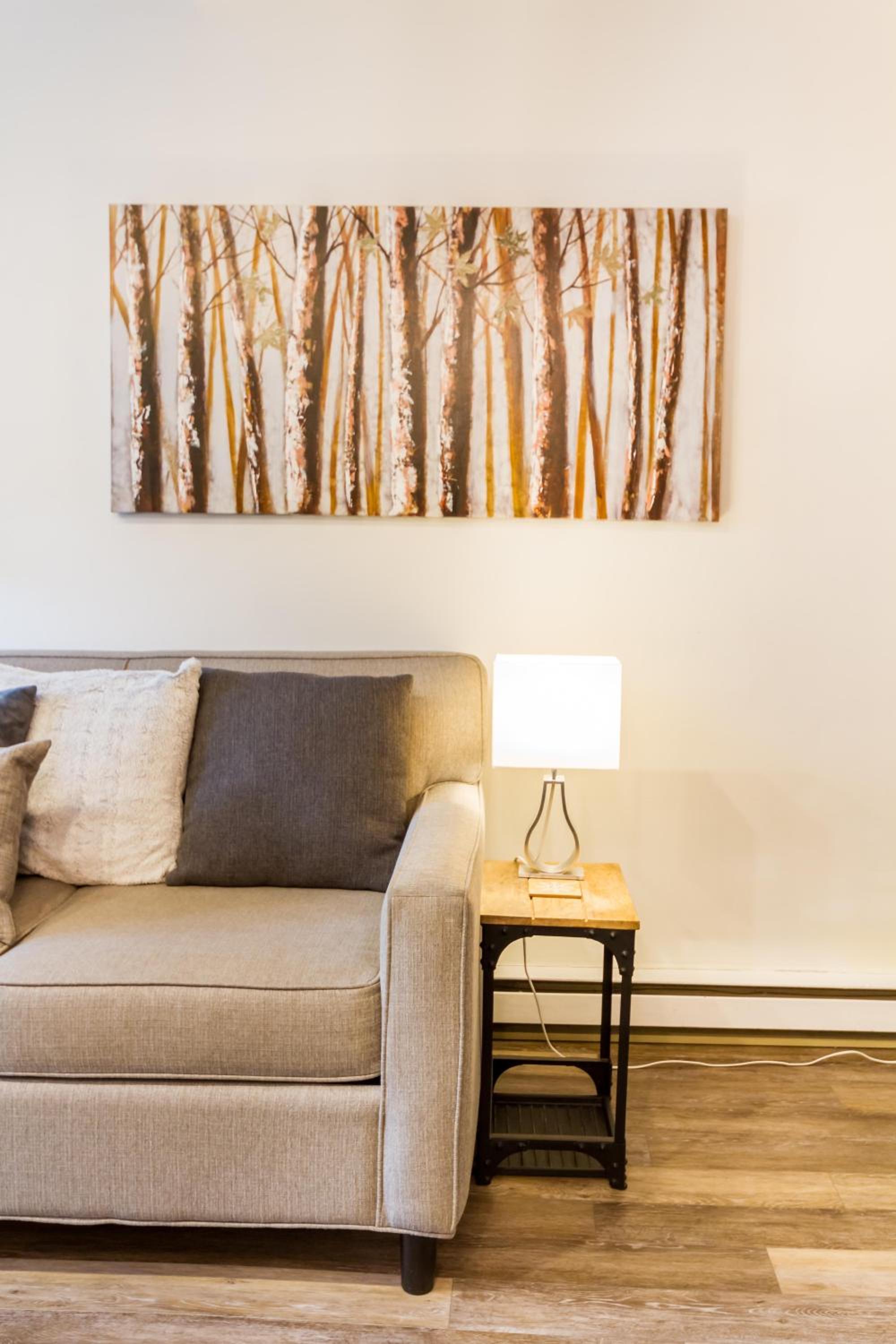 Cute and Cozy, walk to Gondola Ski in Out view 4