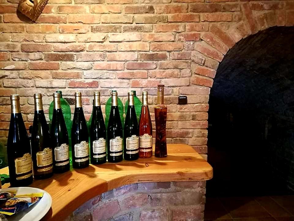 Ubytování U Špačků Pálava