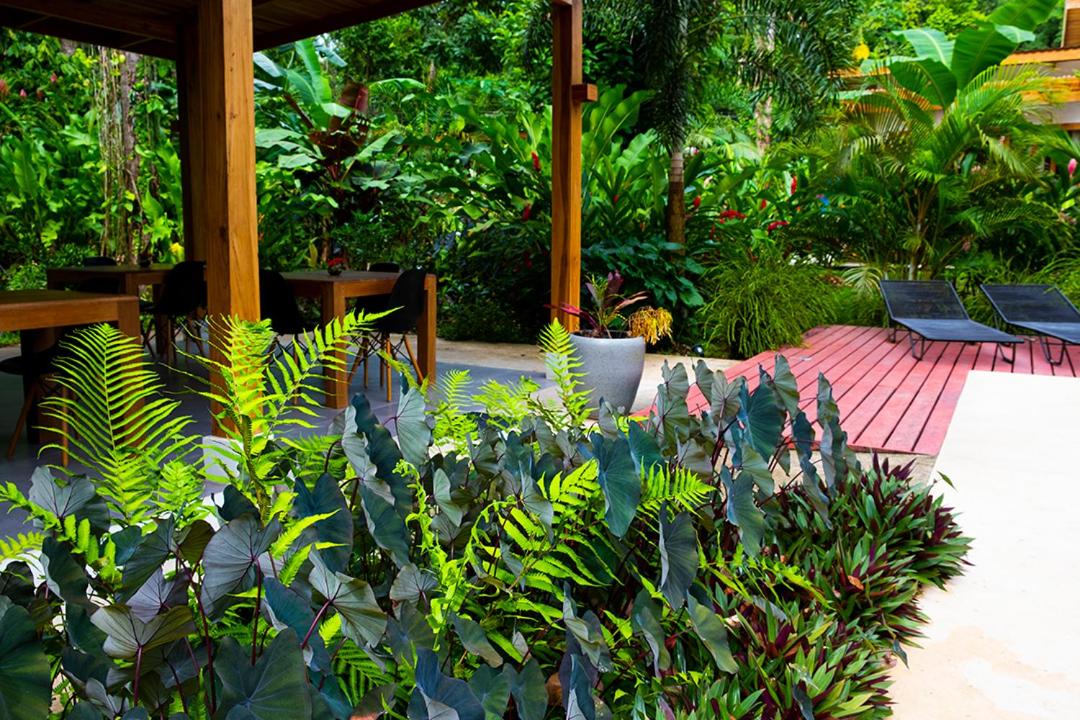La Paz del Caribe Adults Only