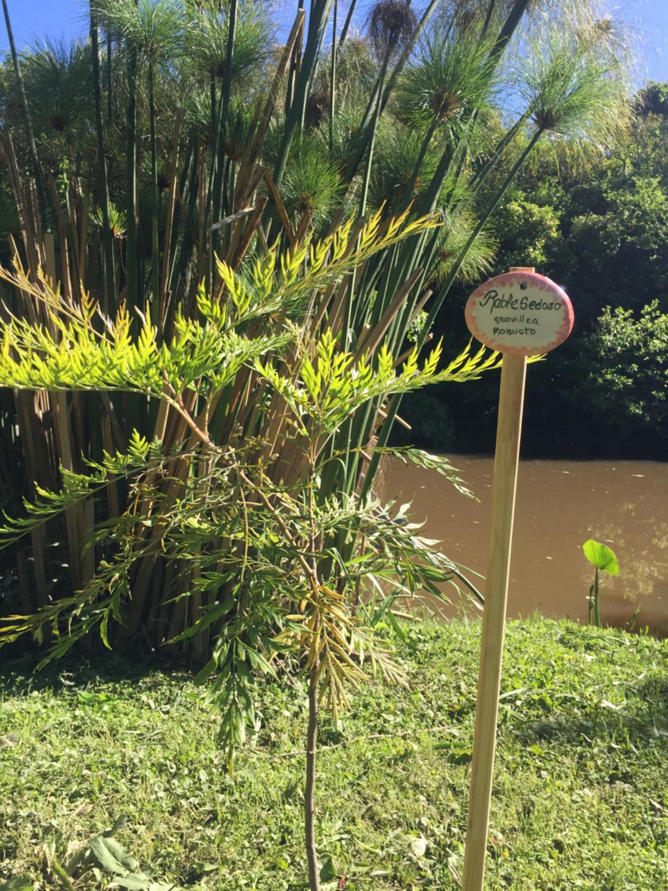 Cabaña en el Delta Arroyo Pajarito a 20 minutos de navegación