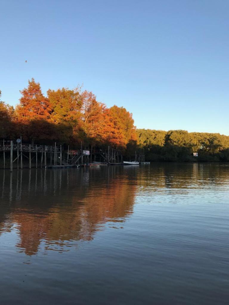 Cabaña en el Delta Arroyo Pajarito a 20 minutos de navegación