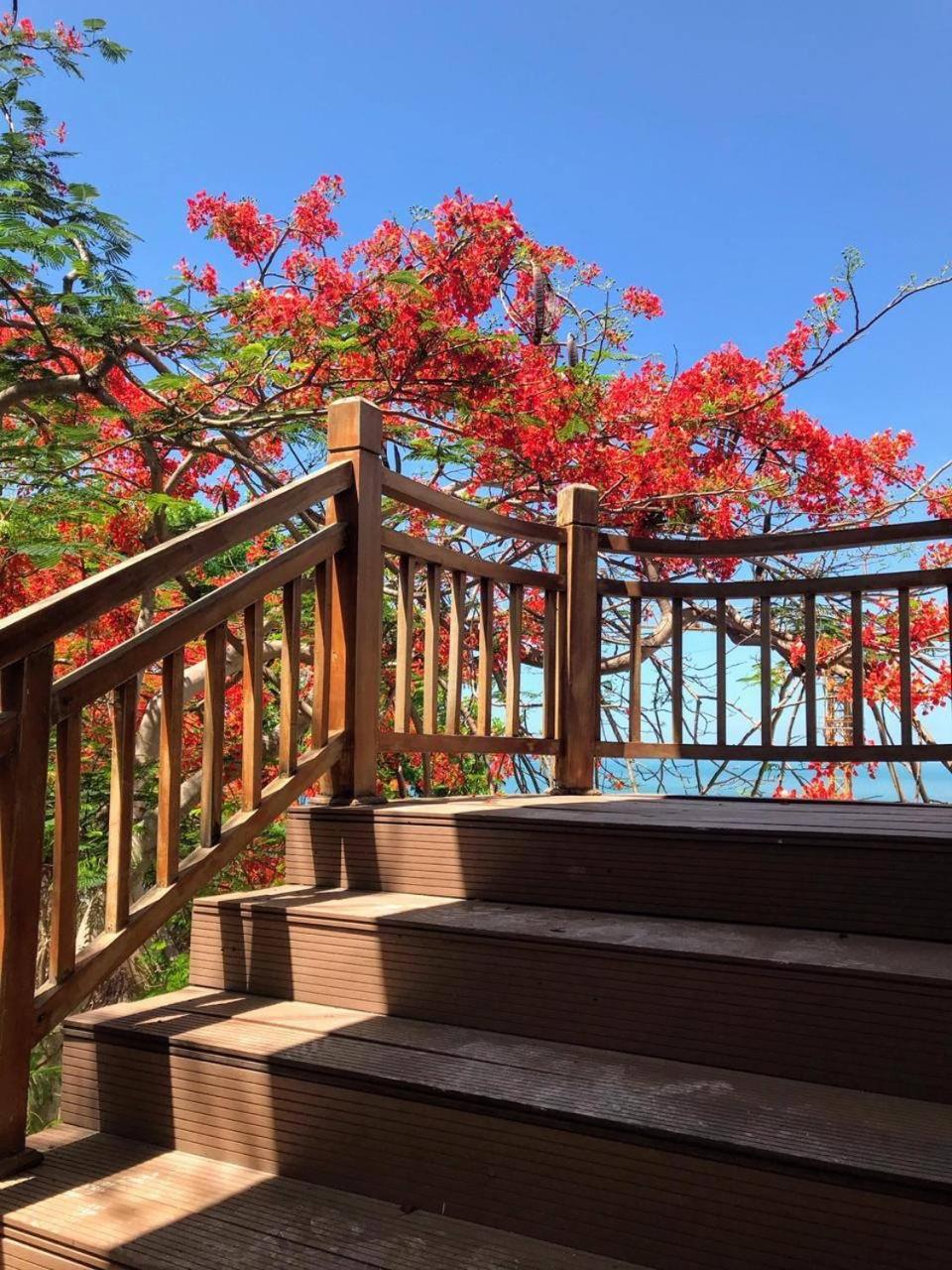 SV Boutique Resort
